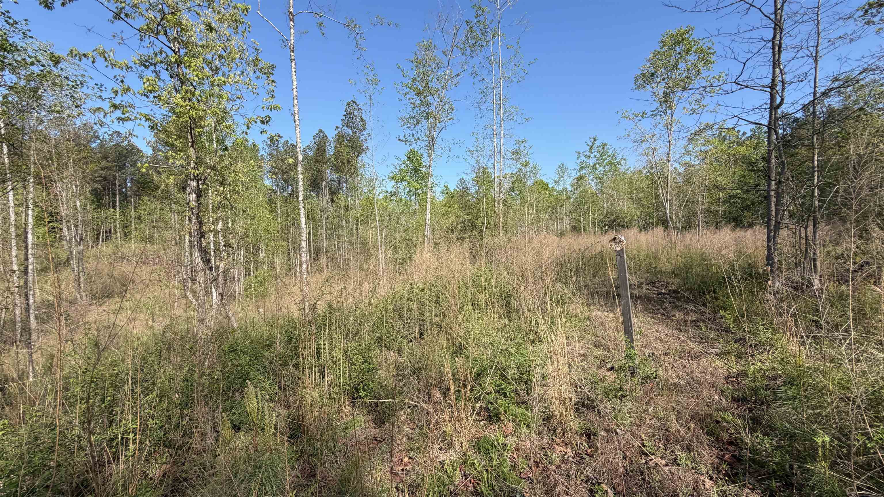338220 Property Photo 12