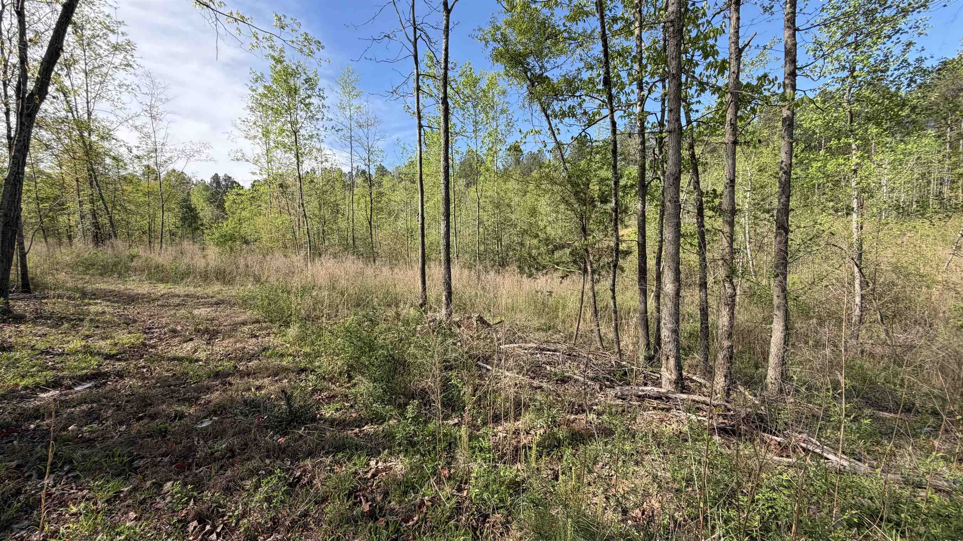 338220 Property Photo 13