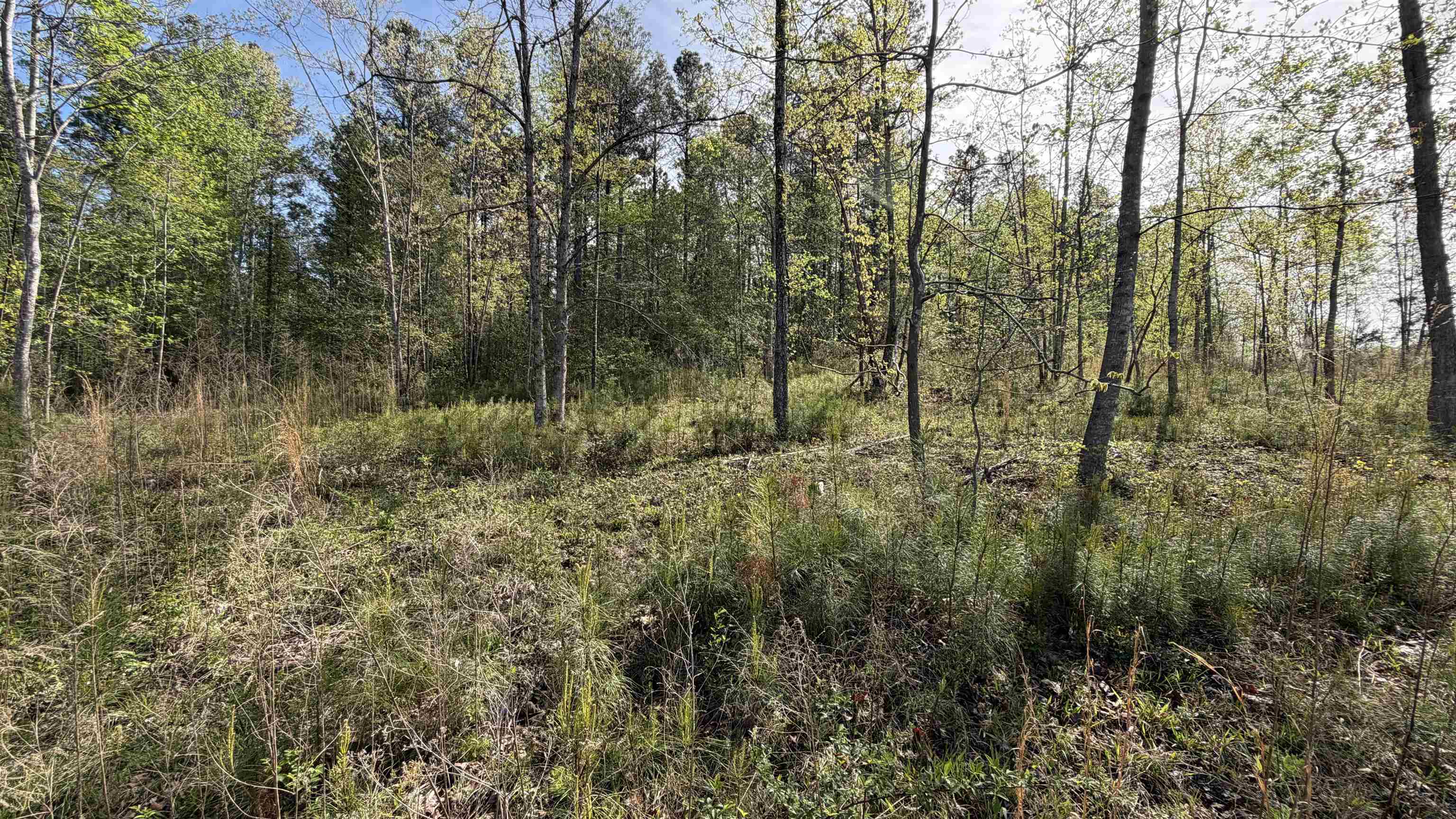 338220 Property Photo 14