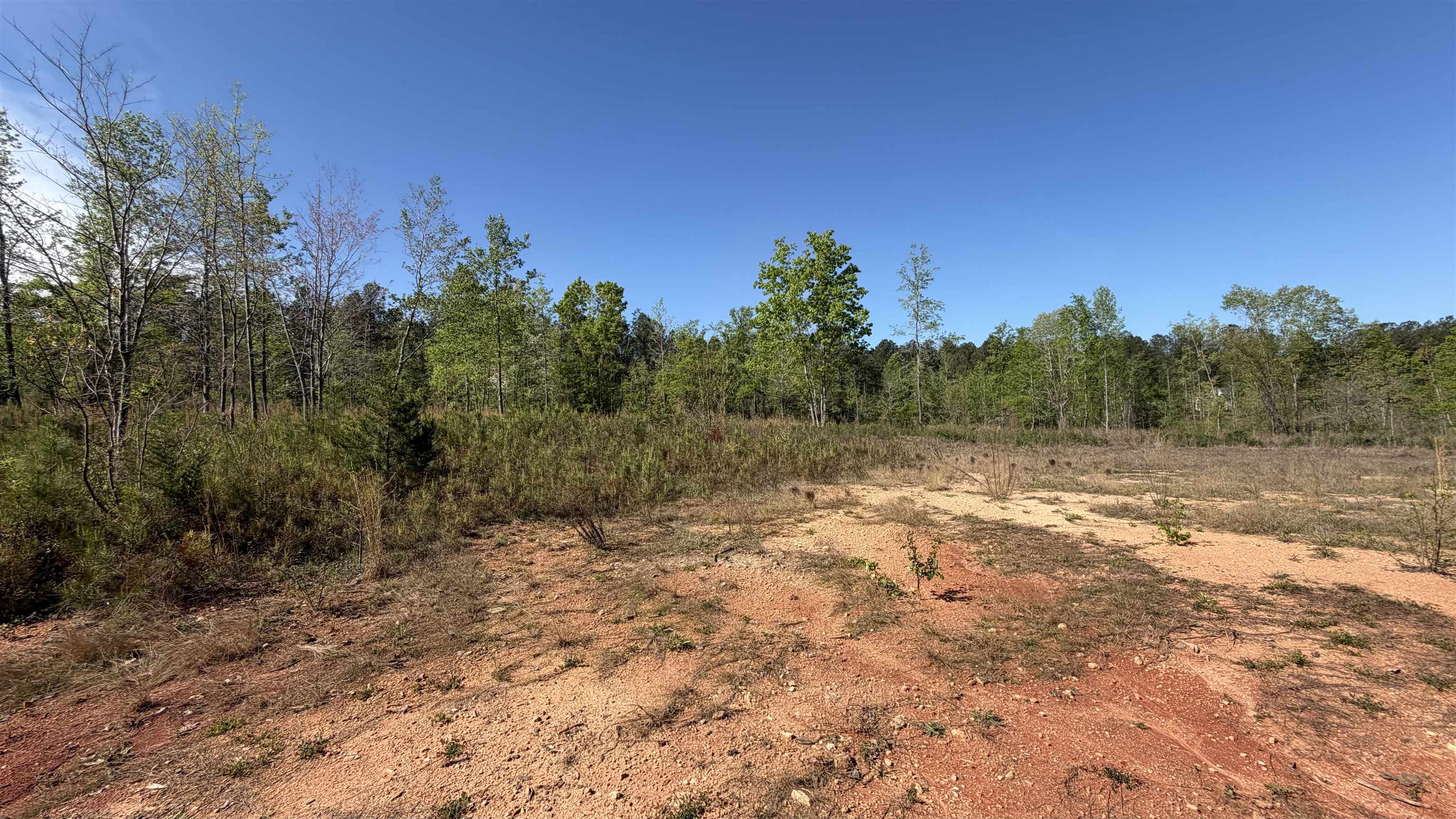 338220 Property Photo 15