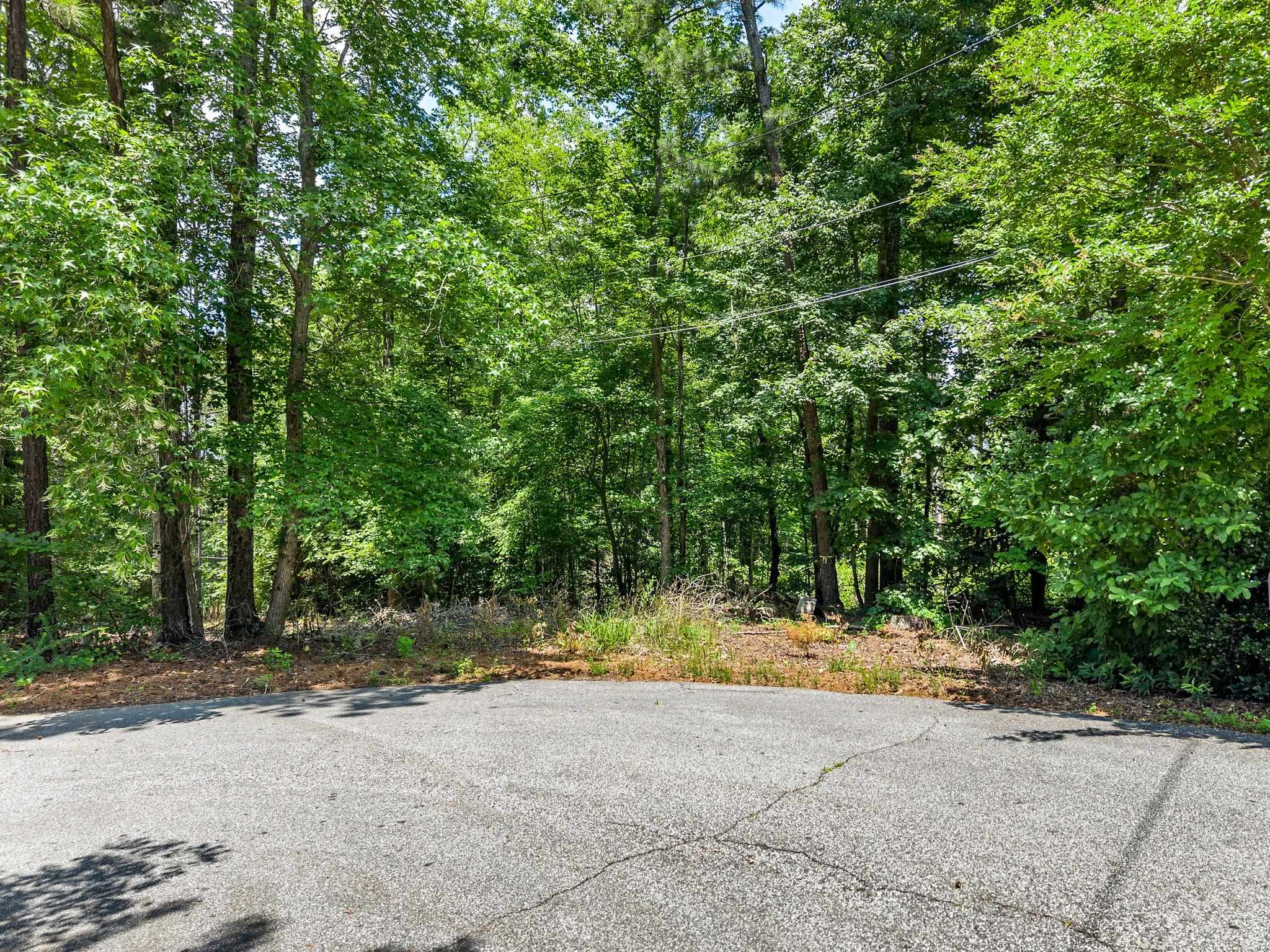 338236 Property Photo 2