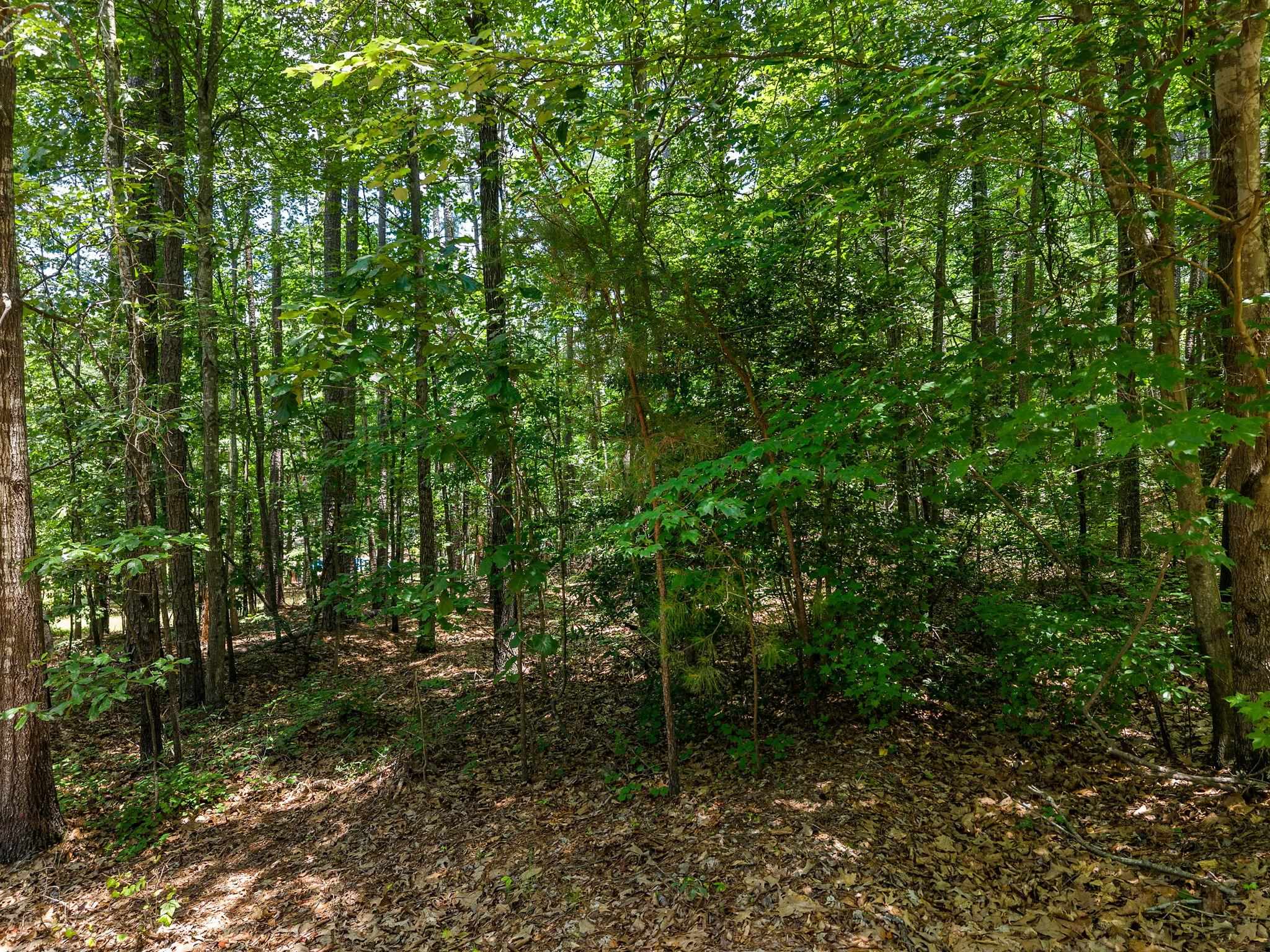 338236 Property Photo 3
