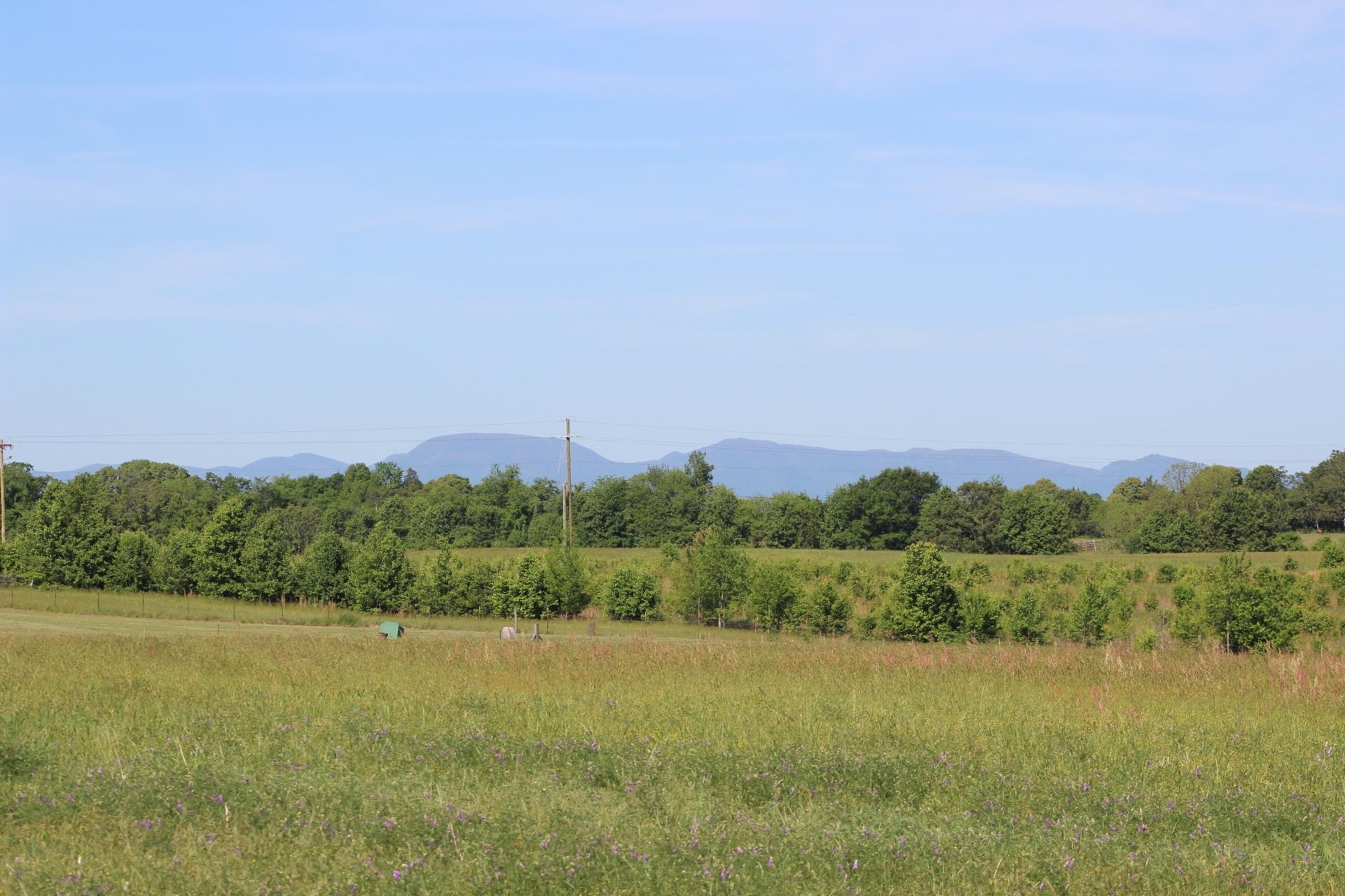 338419 Property Photo 2