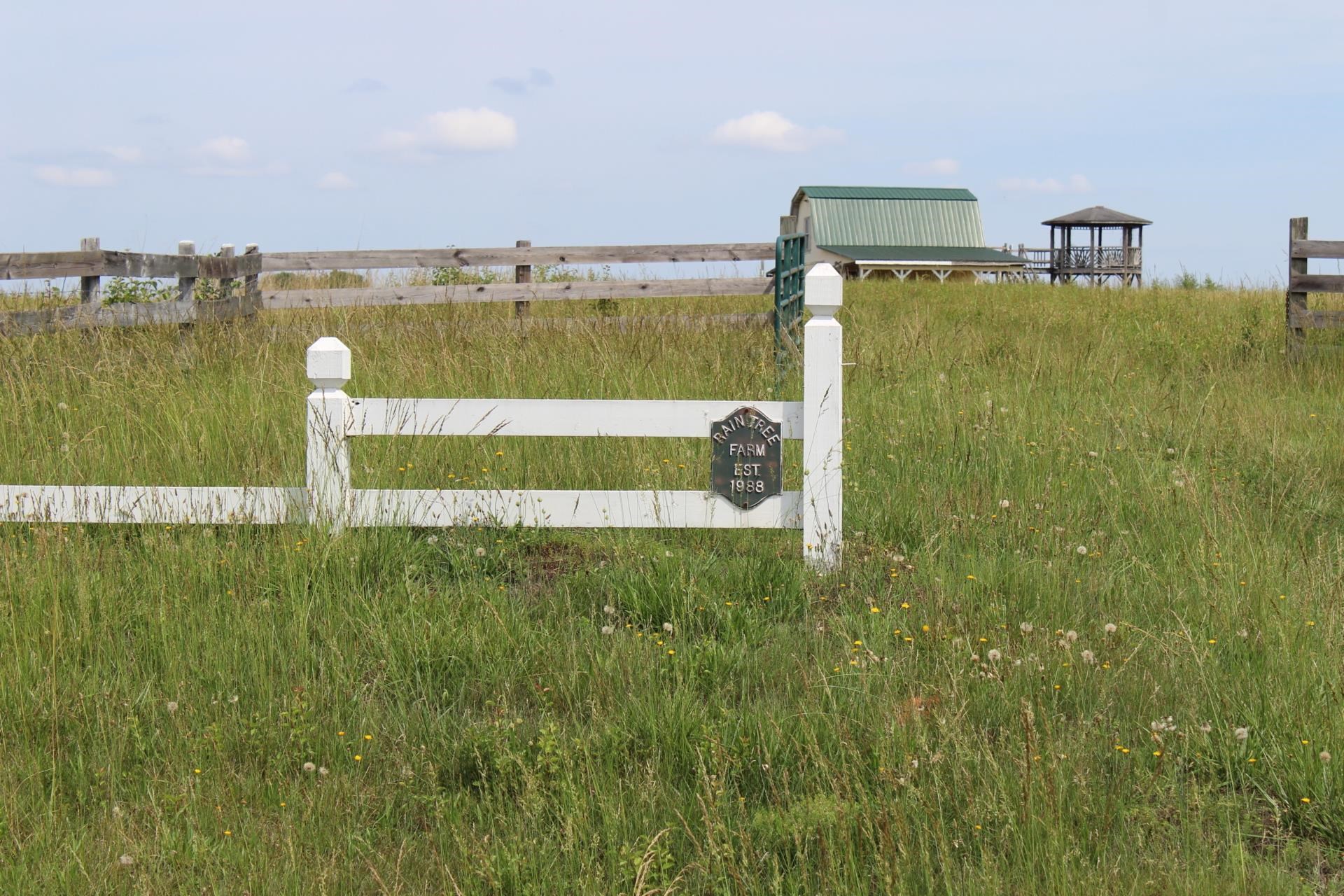 338419 Property Photo 4
