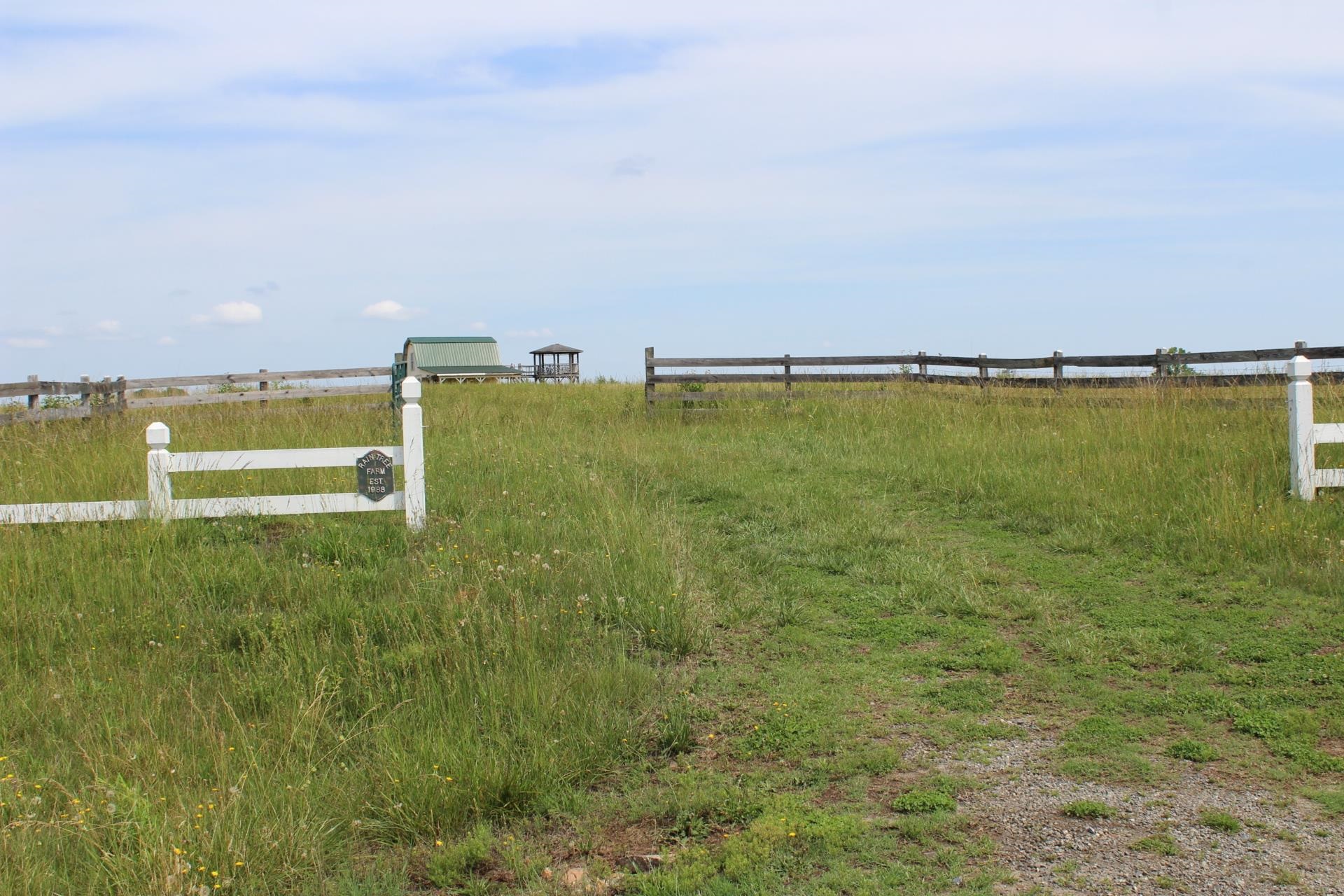 338419 Property Photo 5