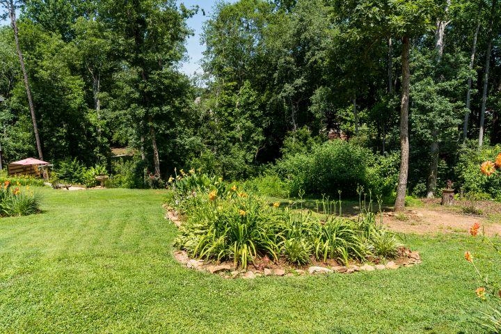 131 Blalock Coves Drive Property Photo 10