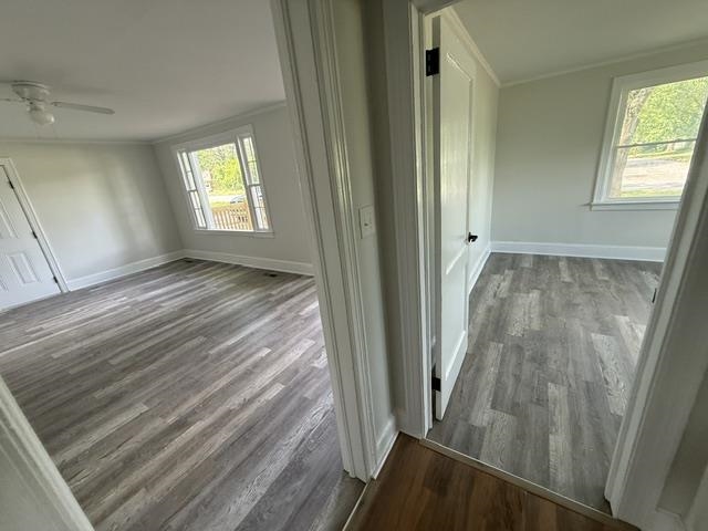 1064 Howard Street Property Photo 24