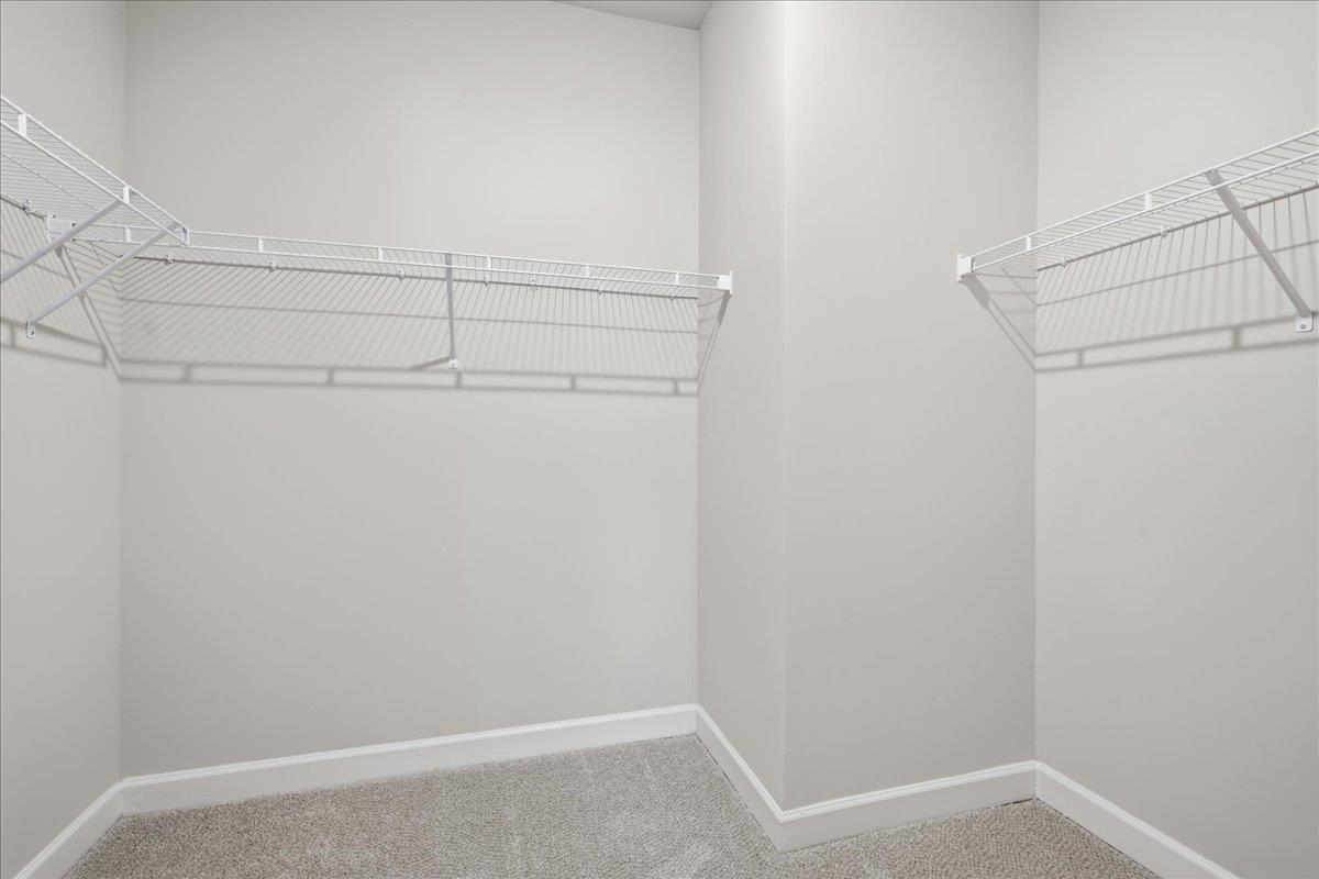 1520 Switchback Circle Property Photo 19