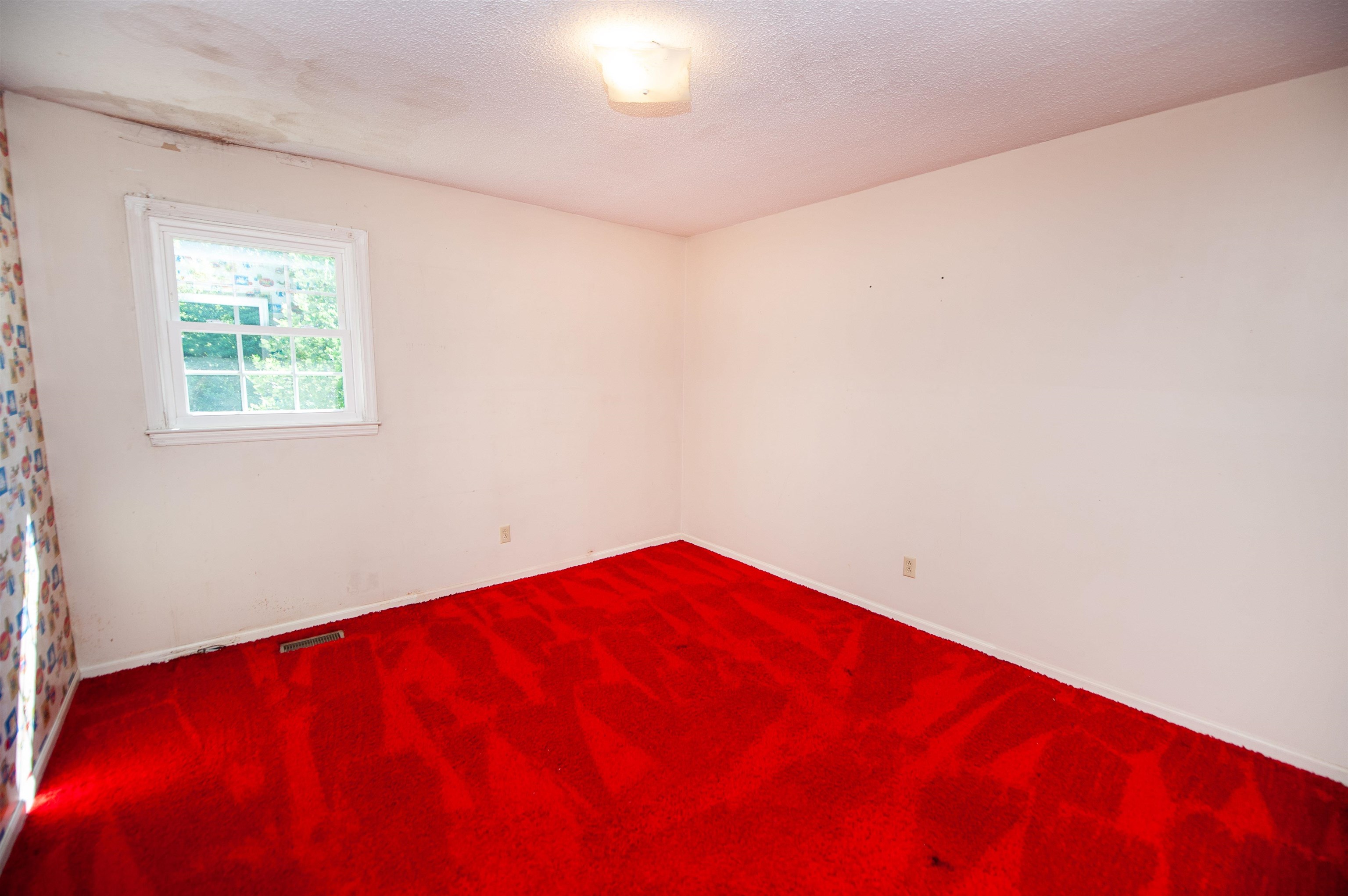 134 Pruitt Road Property Photo 18