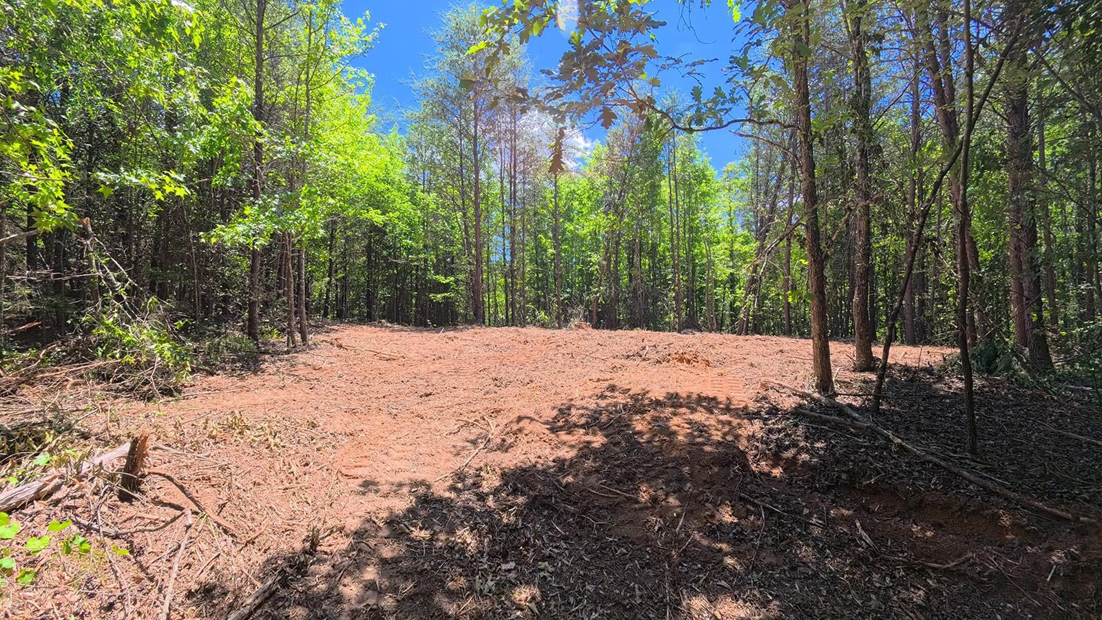 338587 Property Photo 14