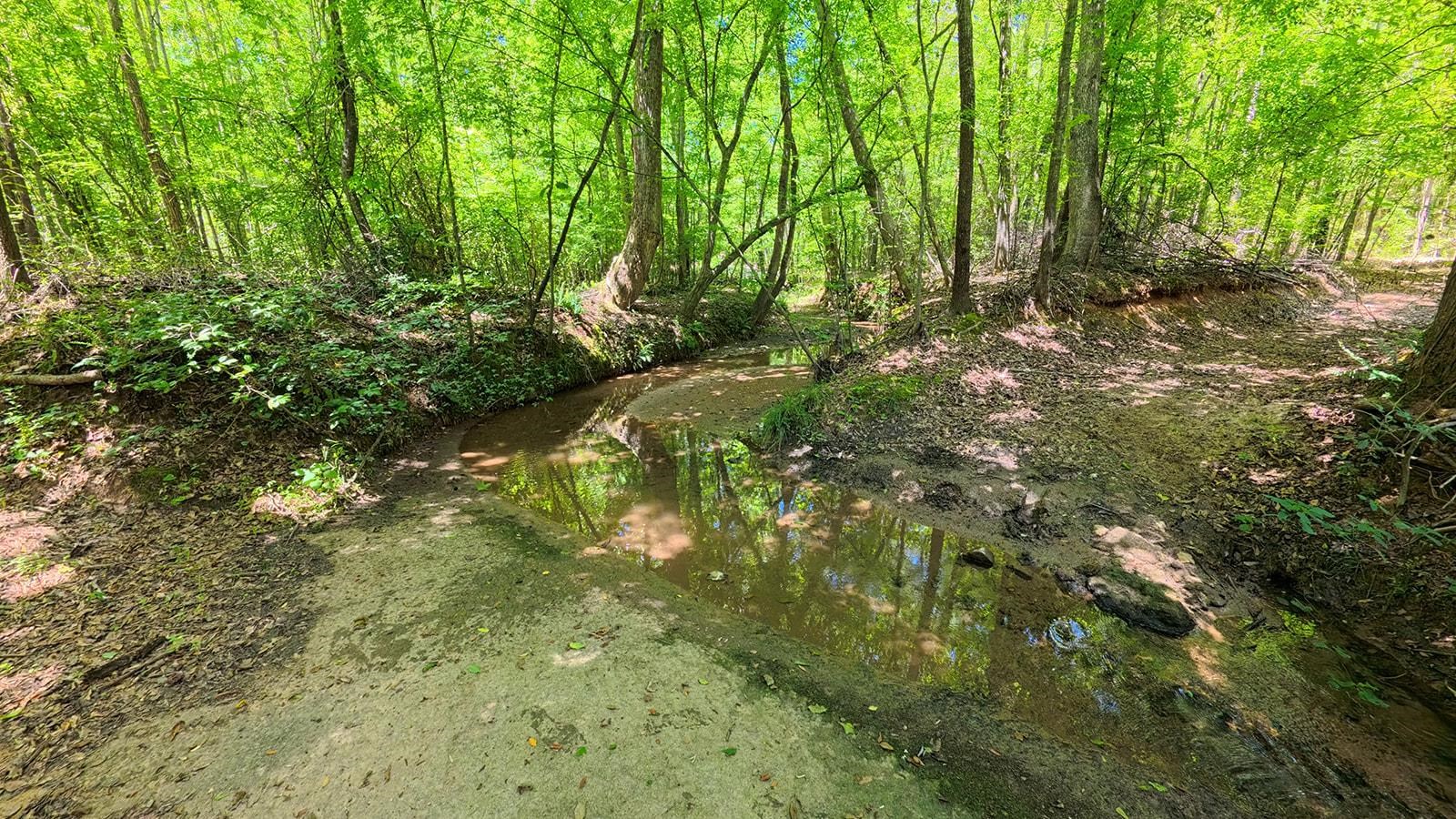 338587 Property Photo 16