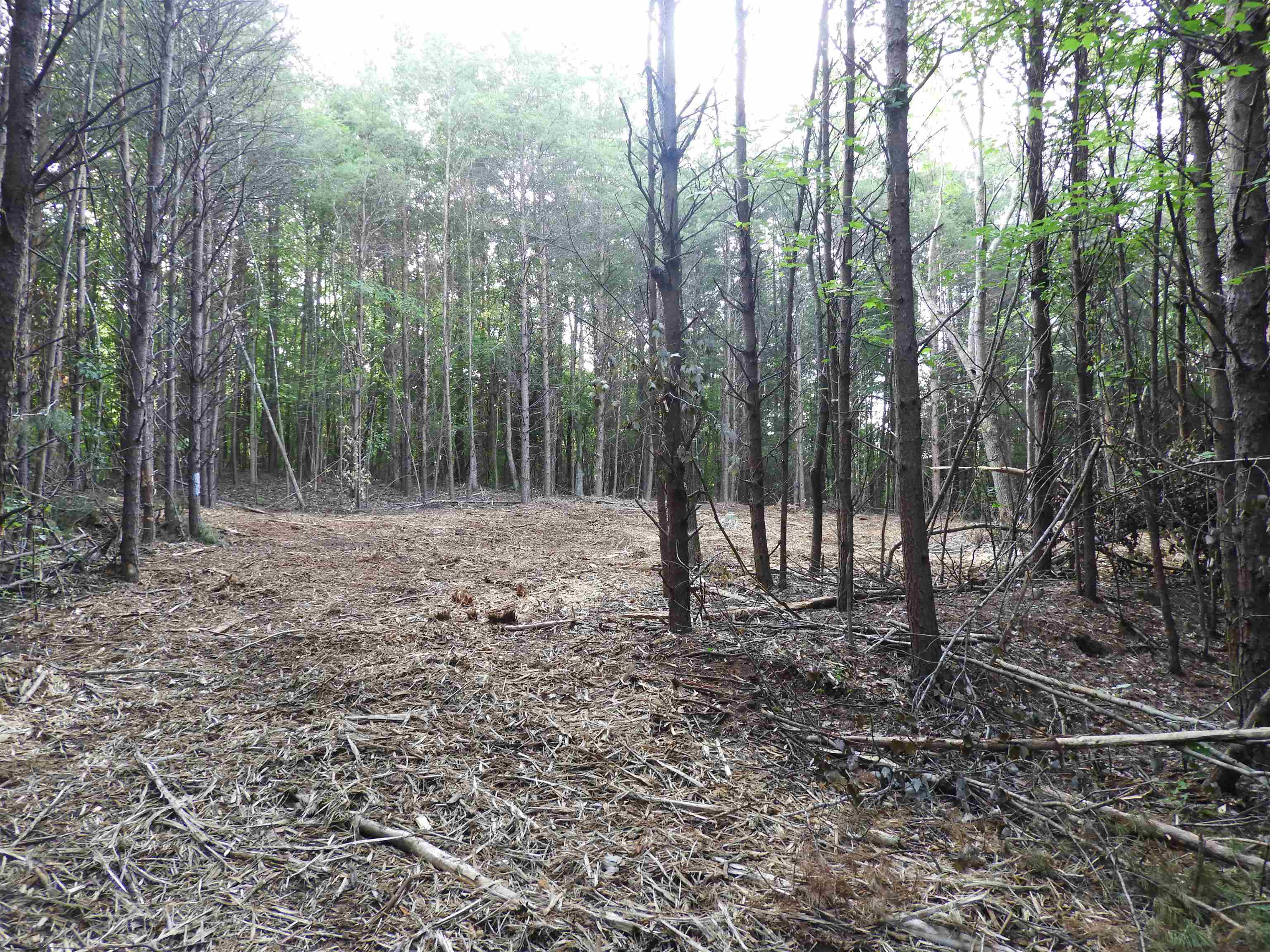 338589 Property Photo 33