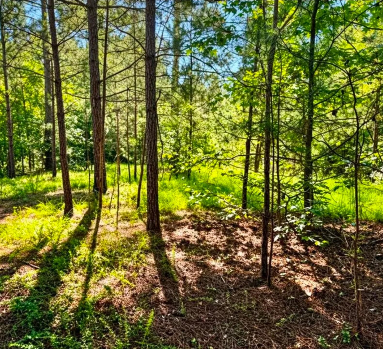 338610 Property Photo 3