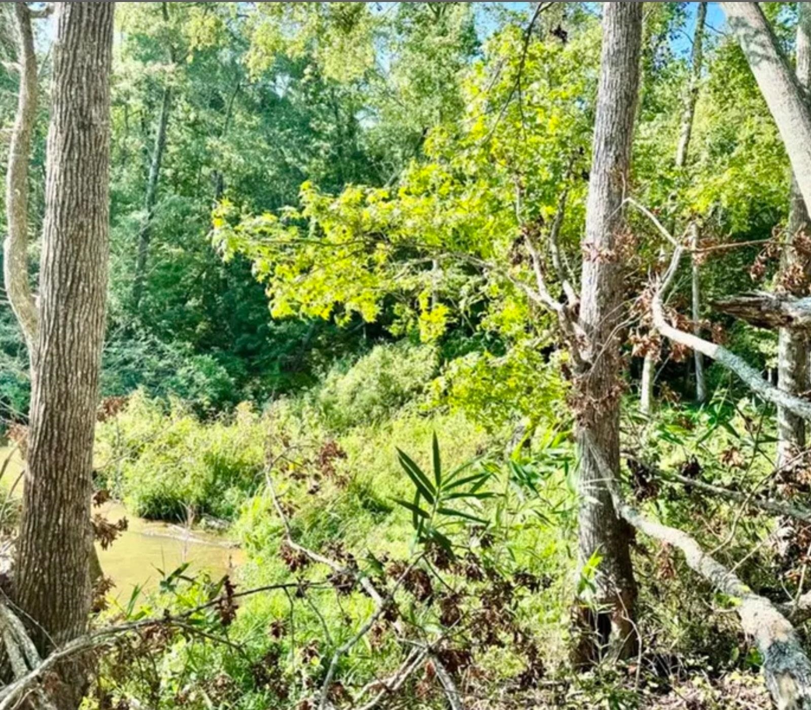 338610 Property Photo 4