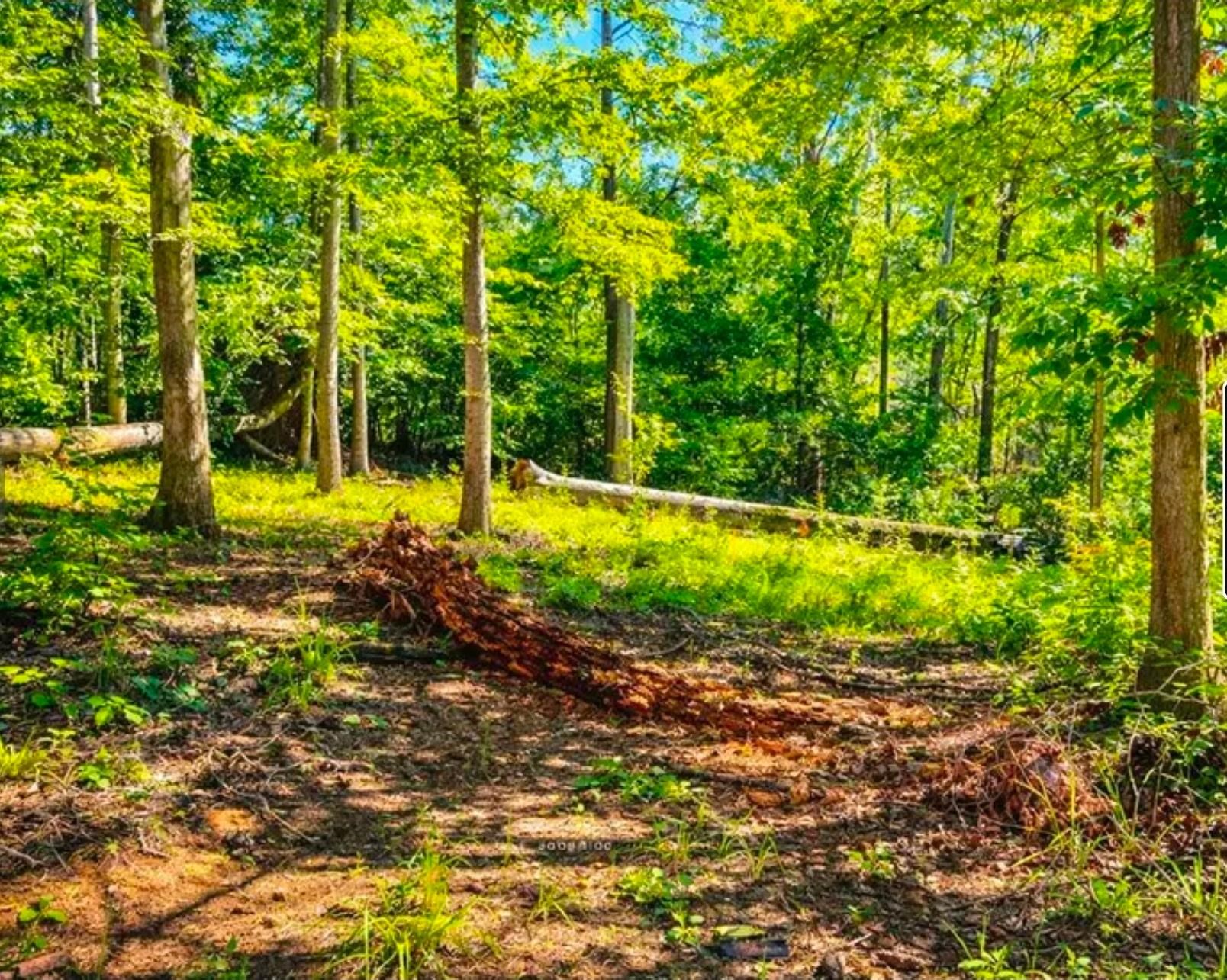 338610 Property Photo 6