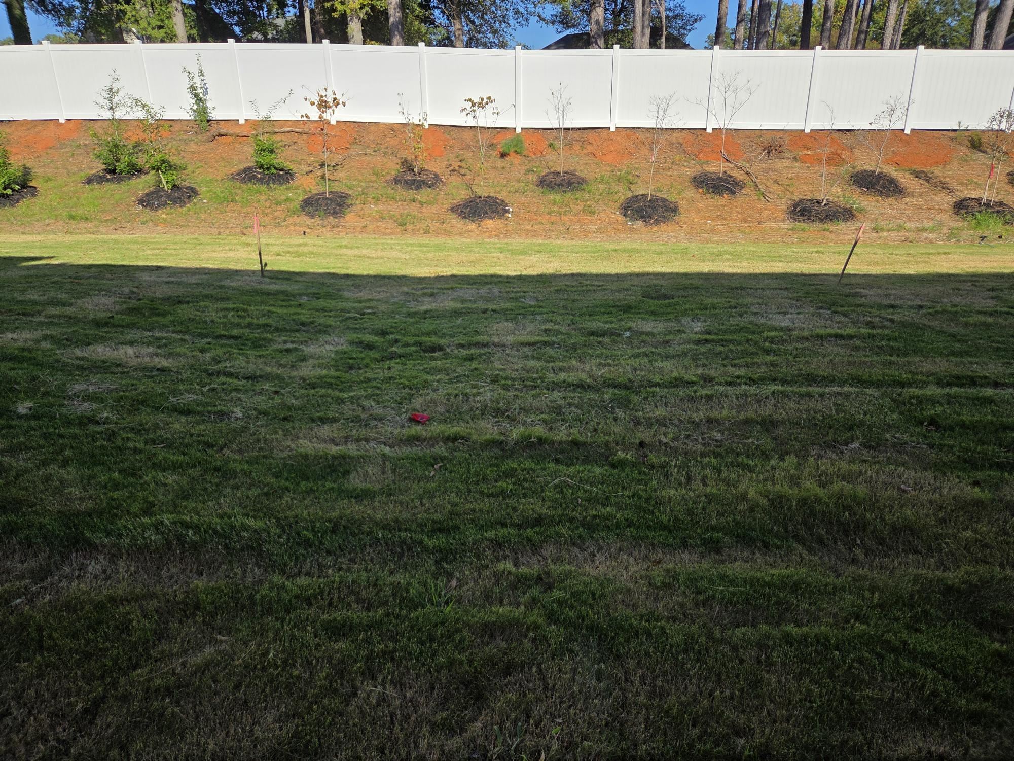 2061 Hillman Way Property Photo 8