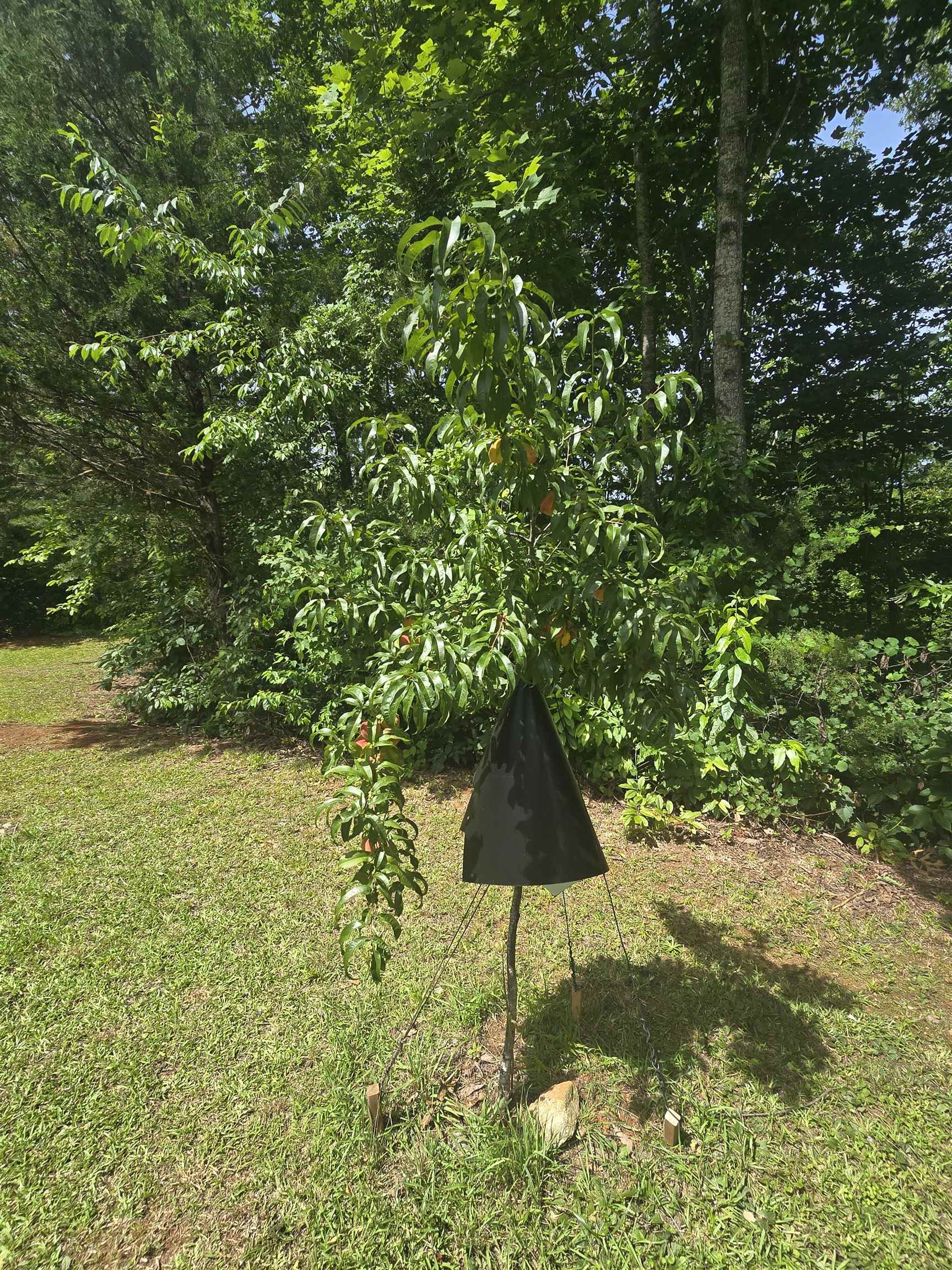295 Range Trail Property Photo 39