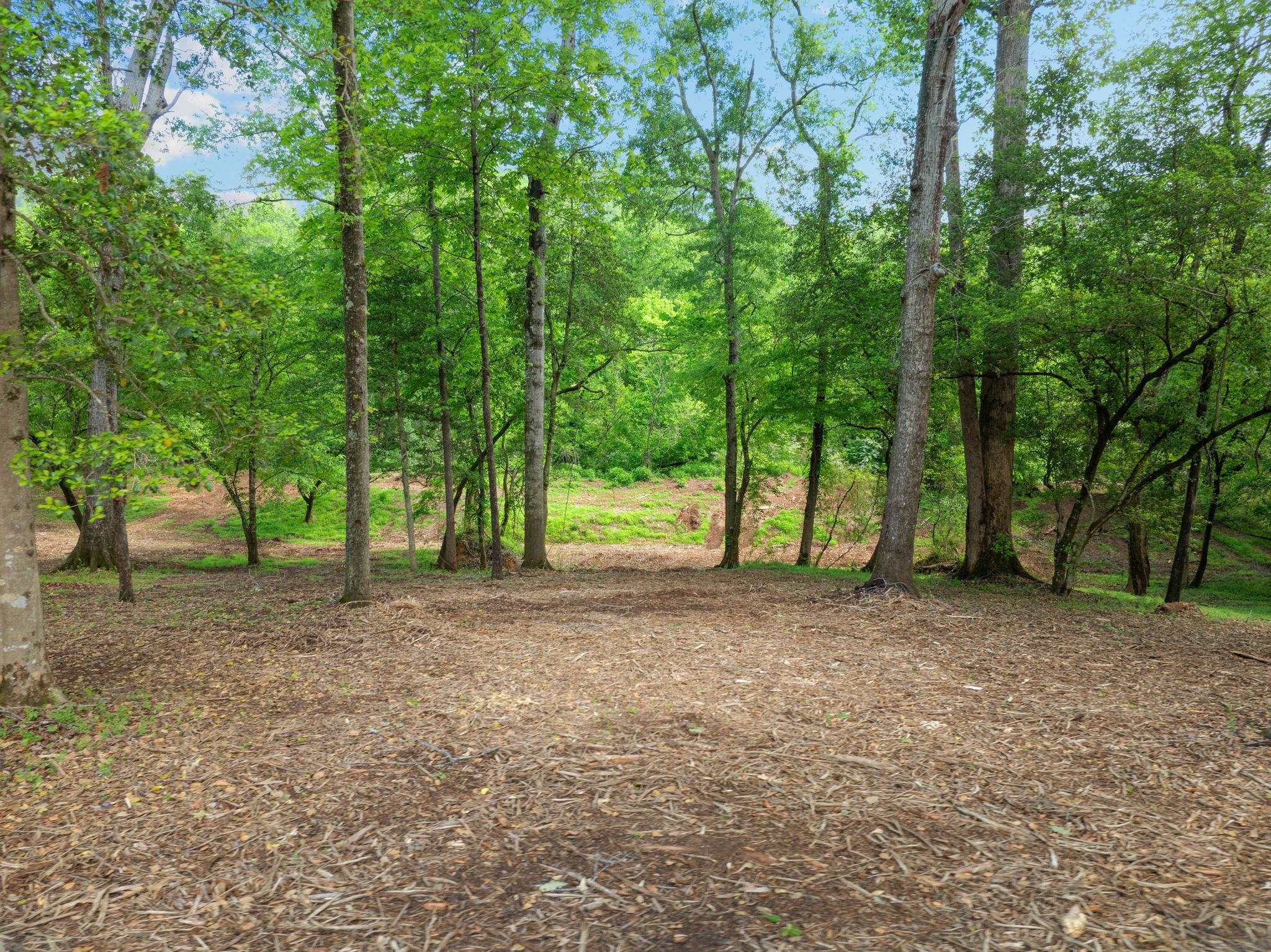 241 Bramlett Road Property Photo 45