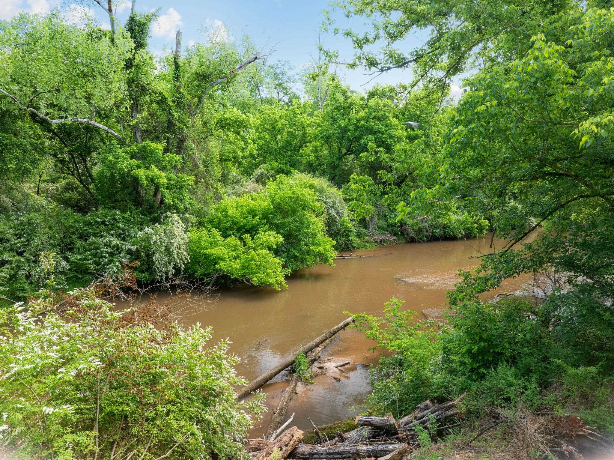241 Bramlett Road Property Photo 46