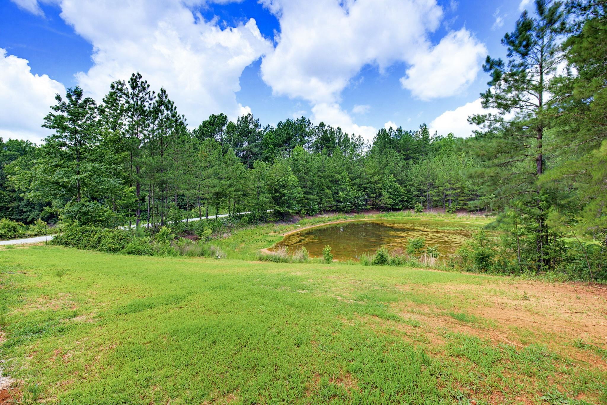 1217 Pleasant Hill Road Property Photo 36
