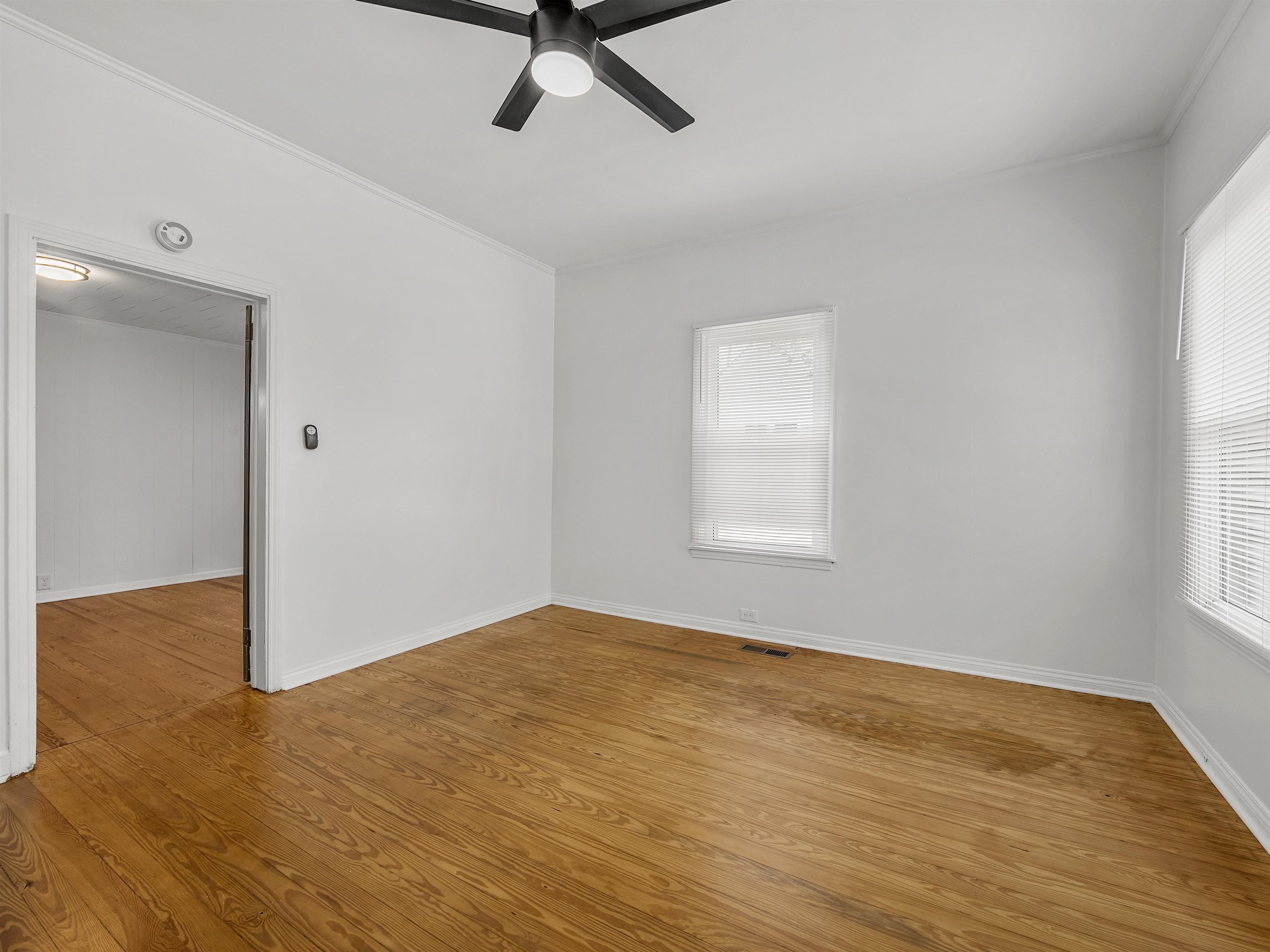 52 Hutchins Street Property Photo 17