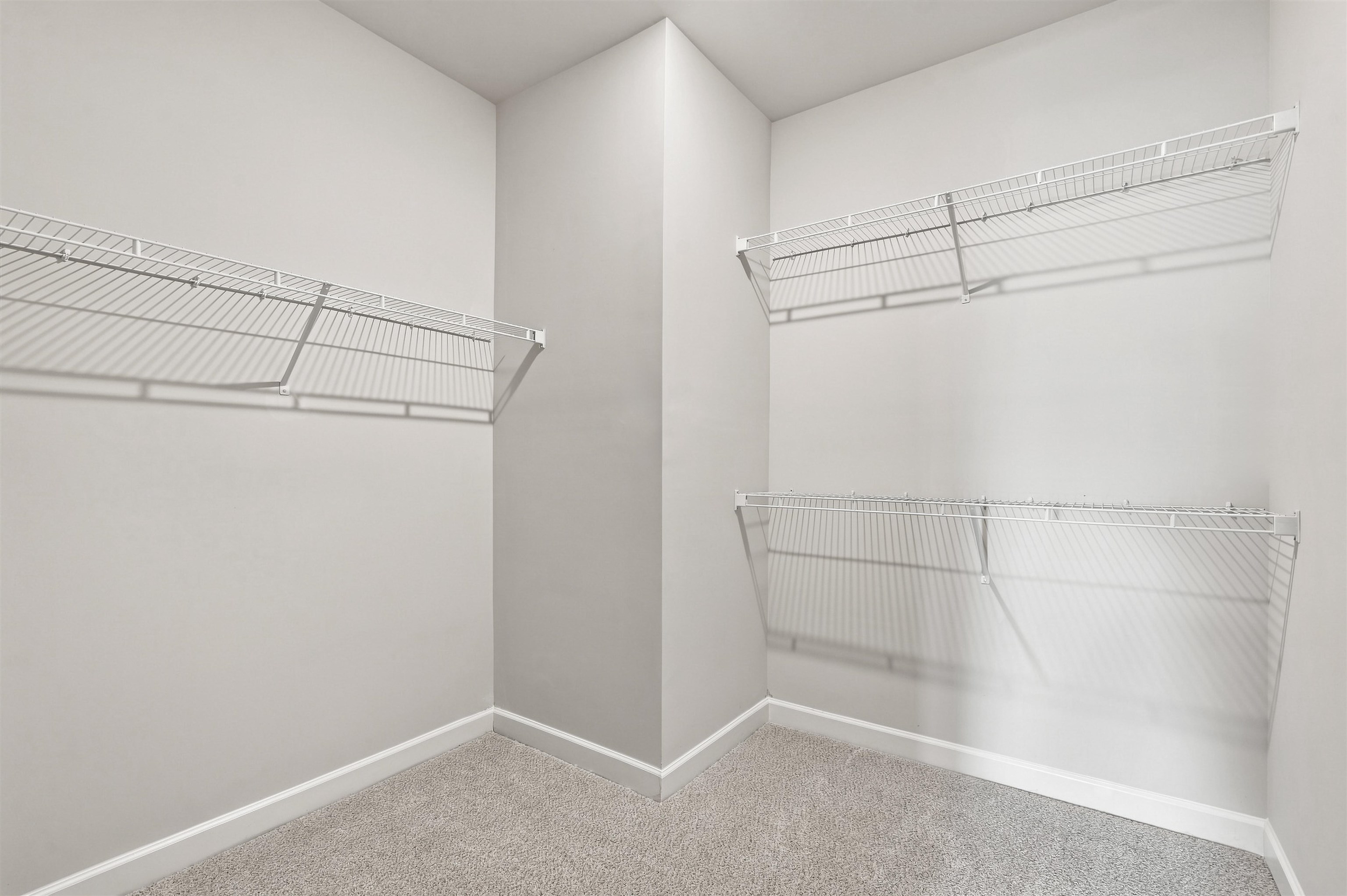919 Rising Oak Court Property Photo 21