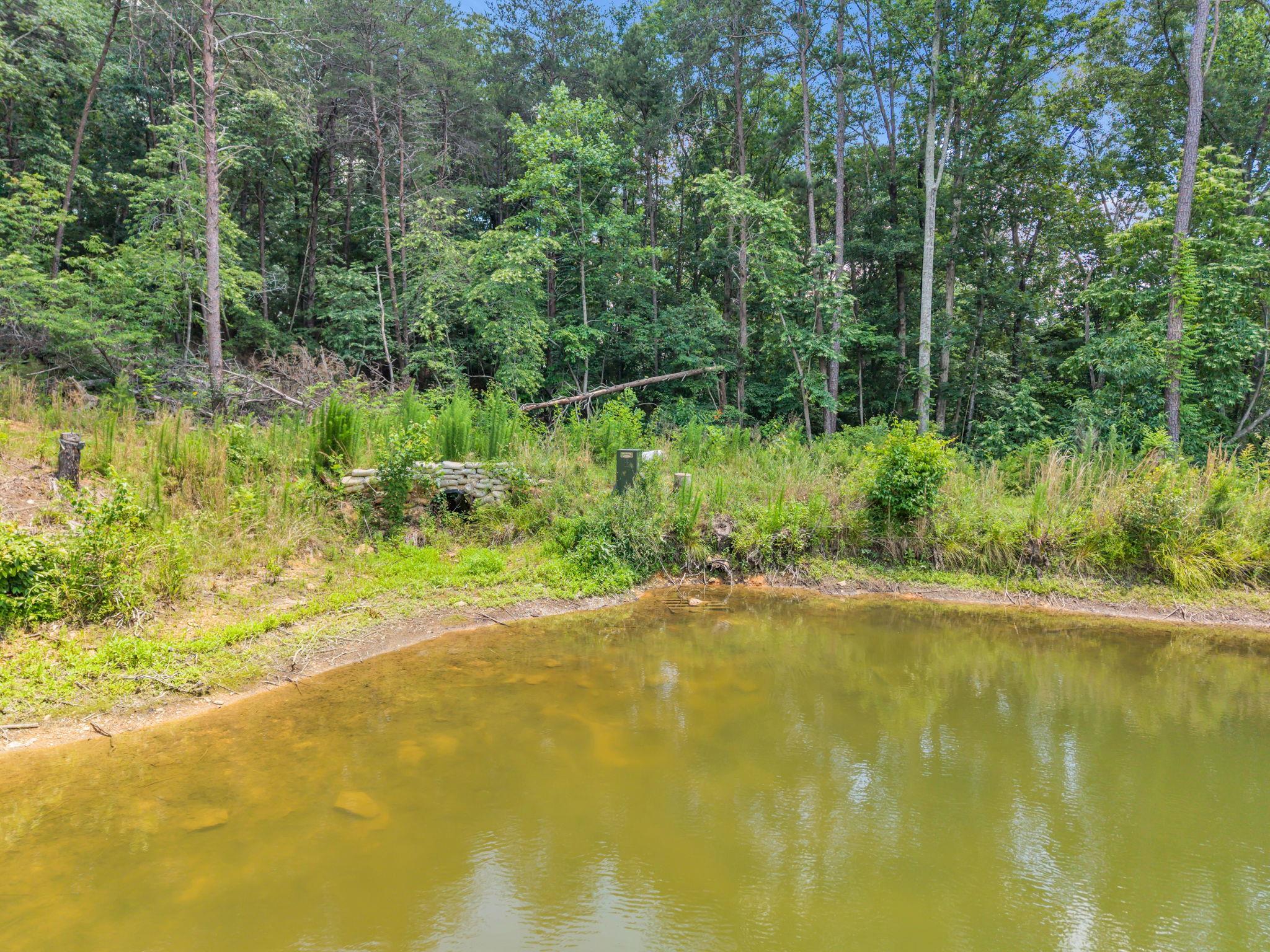 338765 Property Photo 20