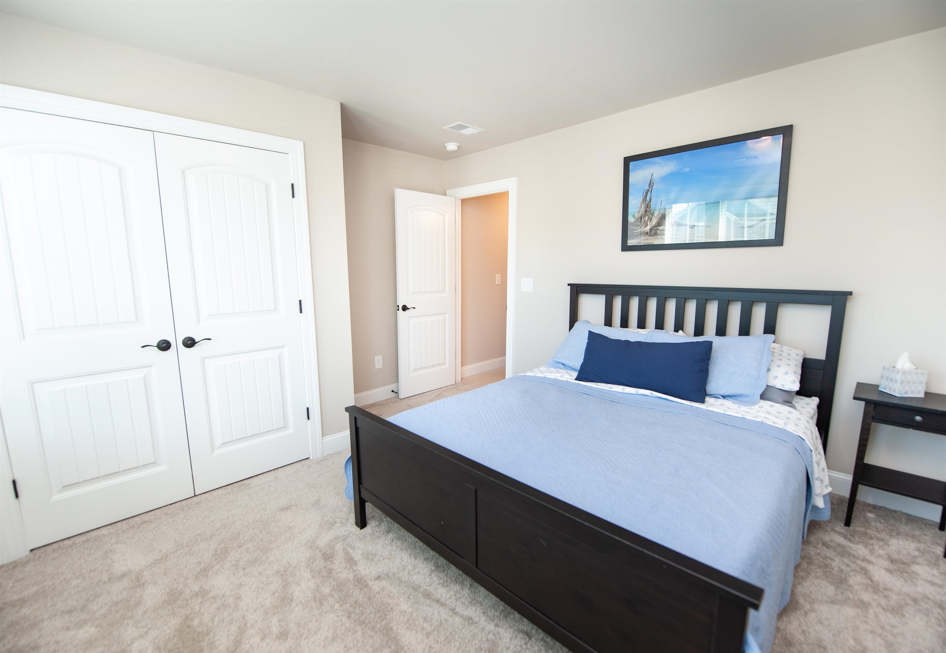 4 Cottontail Court Property Photo 26