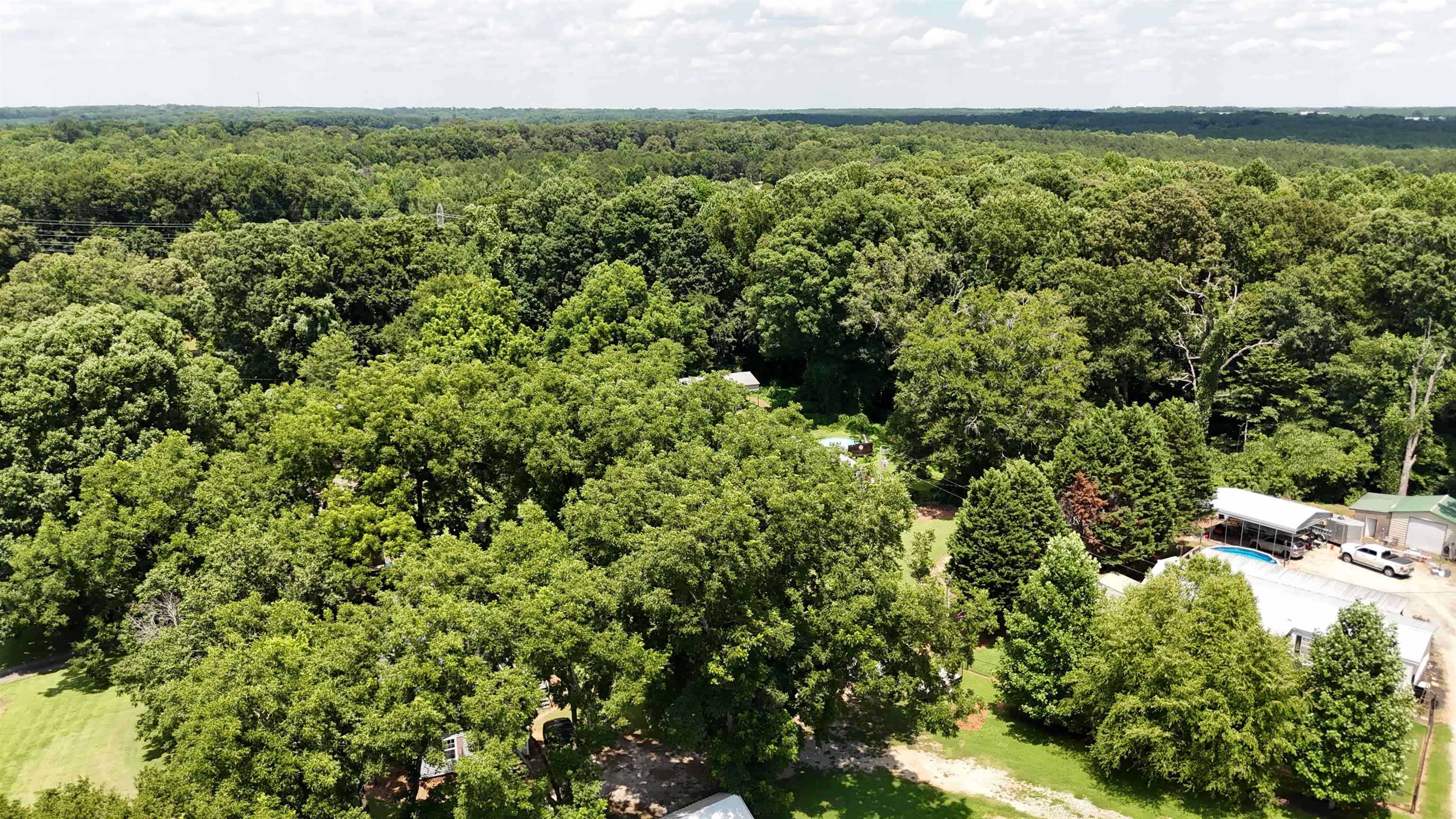 338878 Property Photo 5
