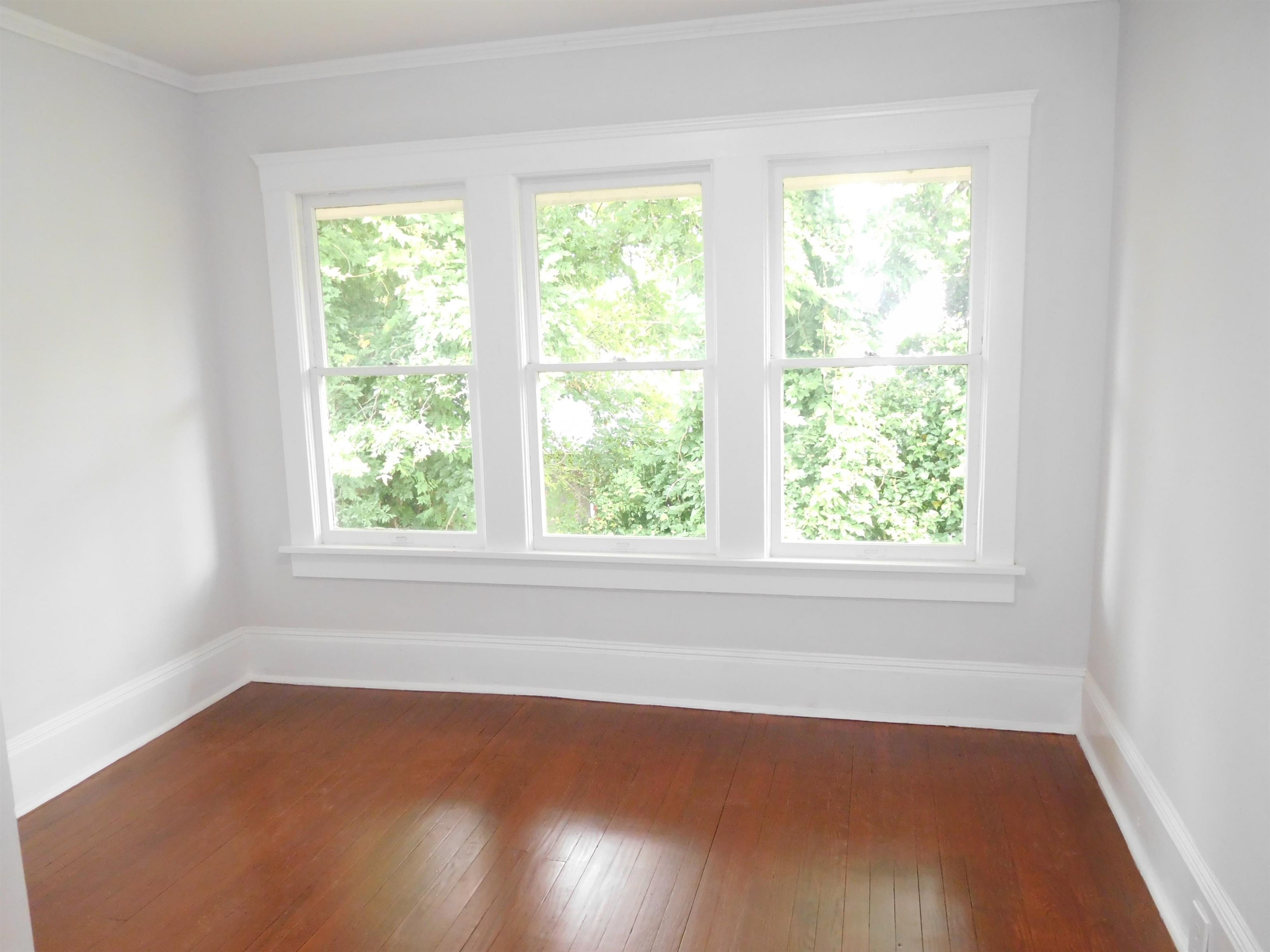 107 Douglas Heights Street Property Photo 19