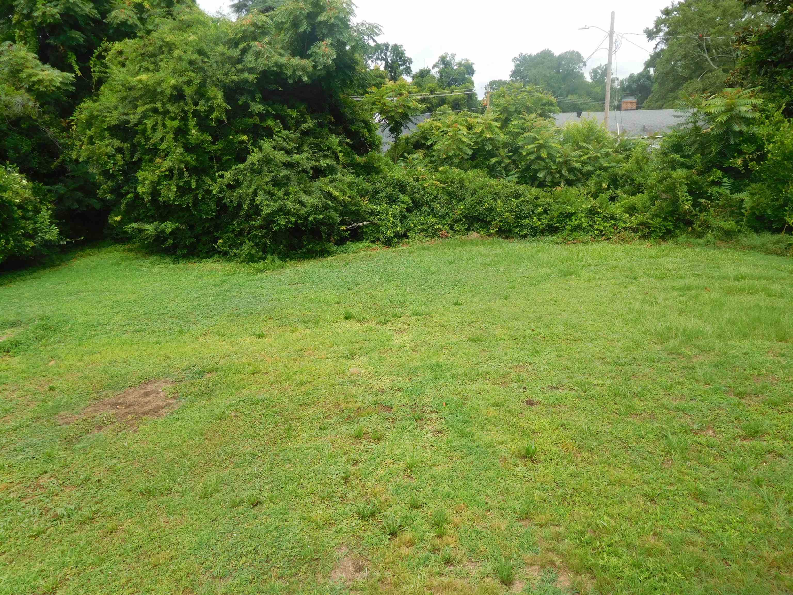 107 Douglas Heights Street Property Photo 26