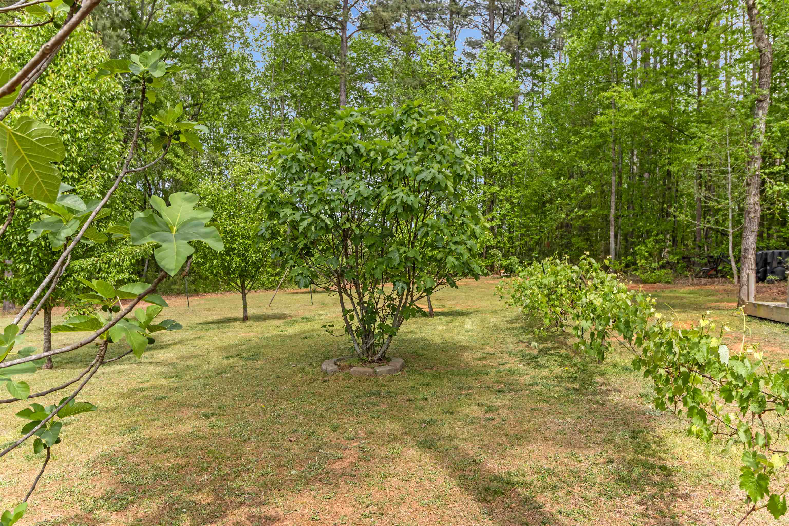 540 Bella Woods Trail Property Photo 26