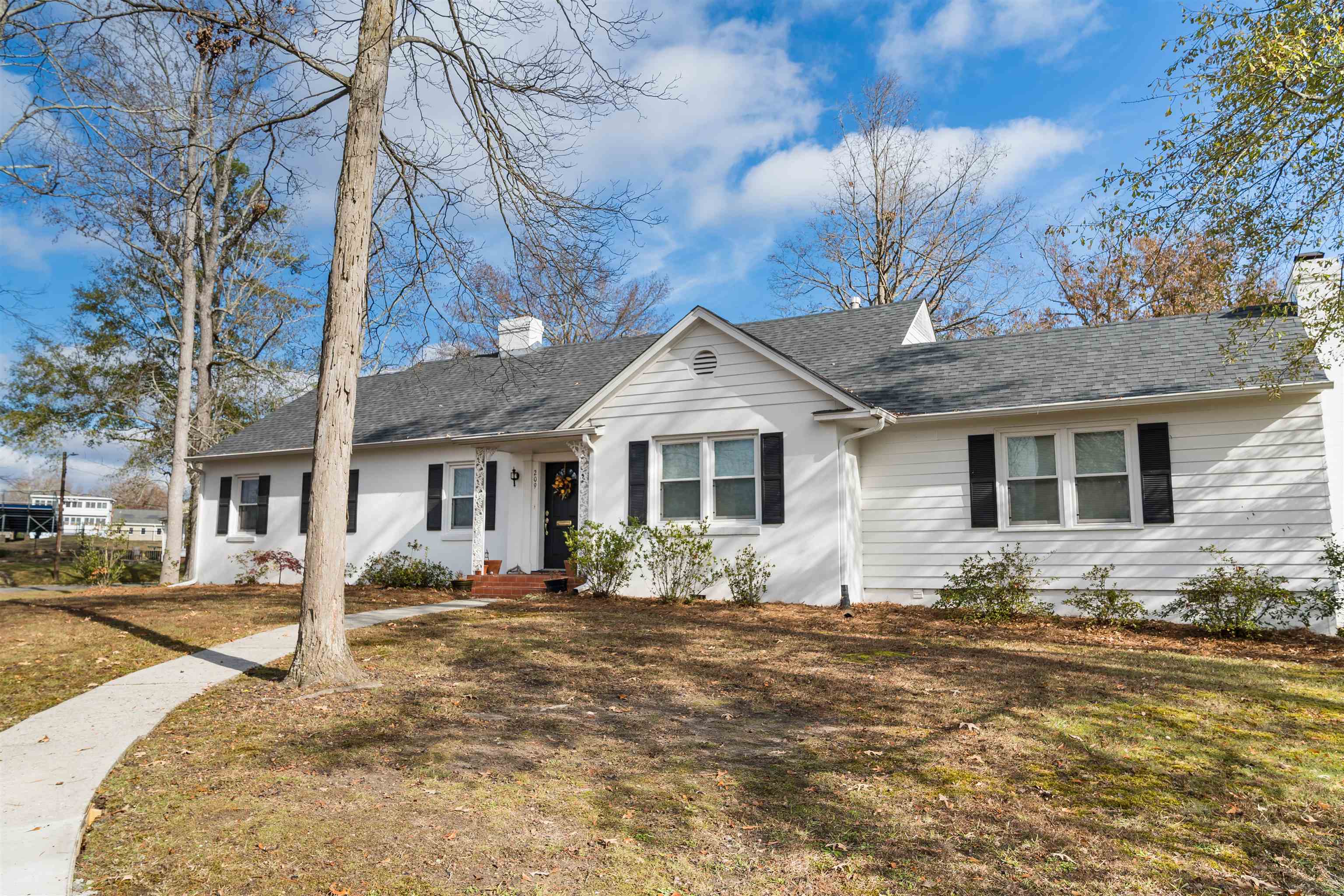 209 Young Drive Property Photo 4