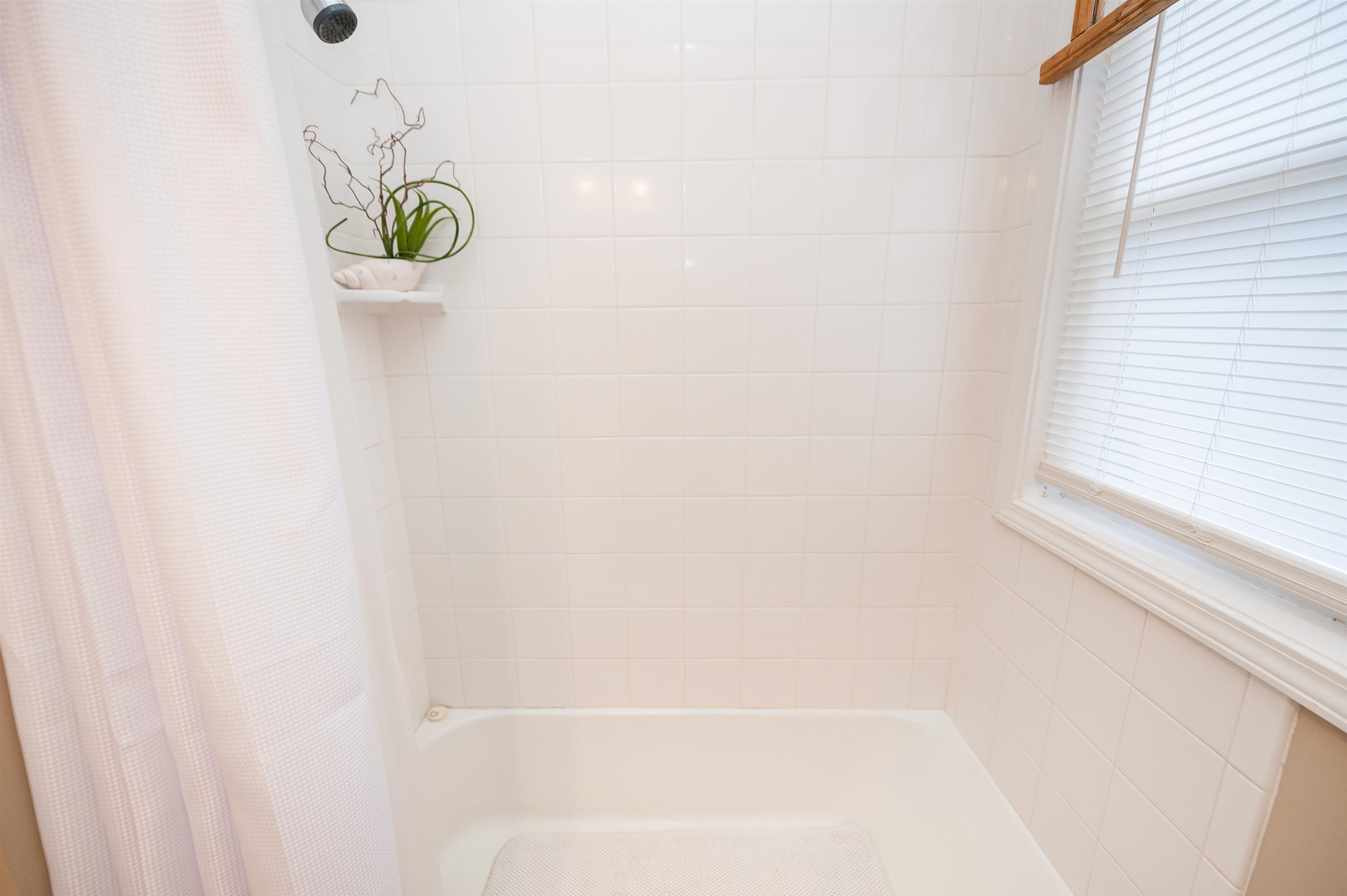 209 Young Drive Property Photo 36