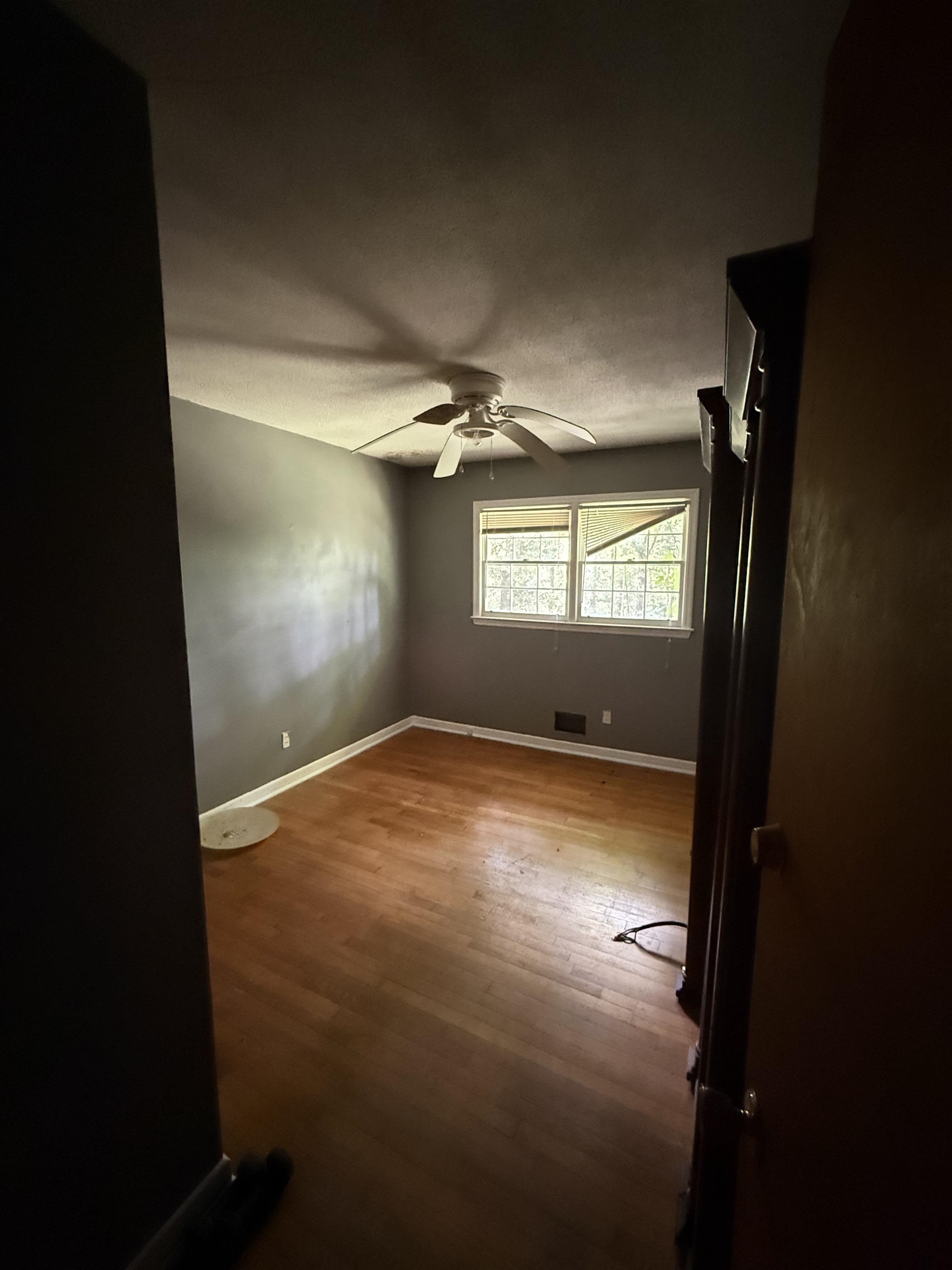770 56 Highway Property Photo 4