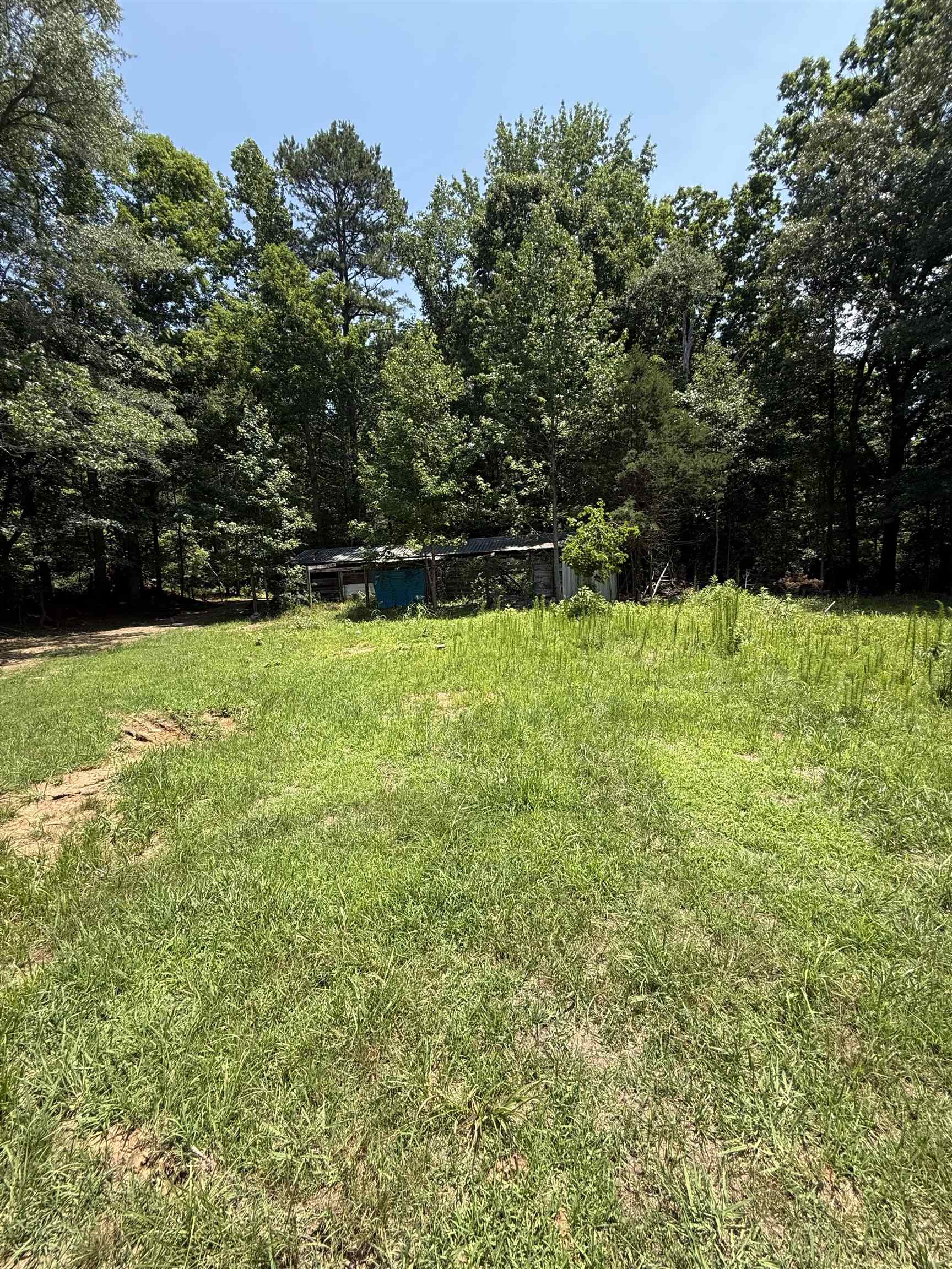 770 56 Highway Property Photo 11