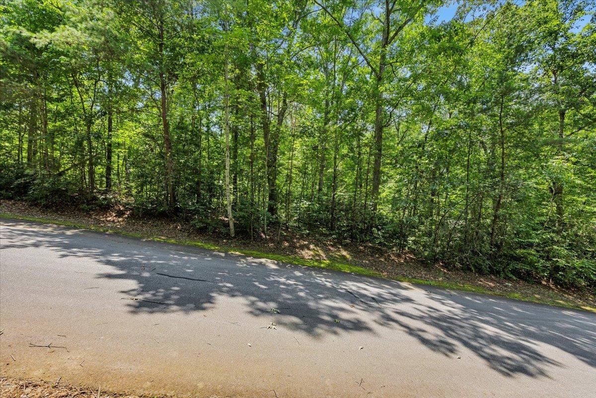 339012 Property Photo 4