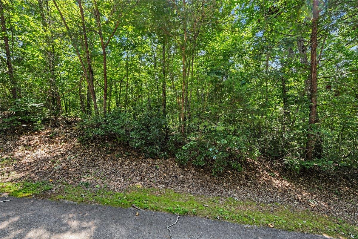 339012 Property Photo 5