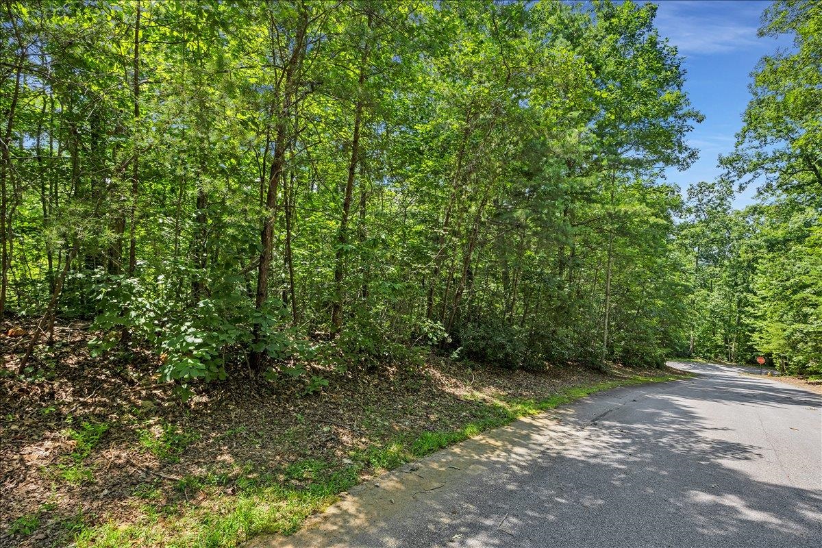 339012 Property Photo 6