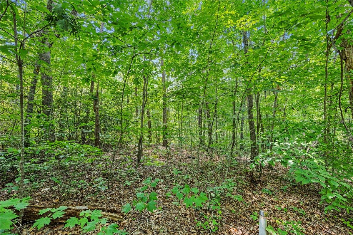 339012 Property Photo 7