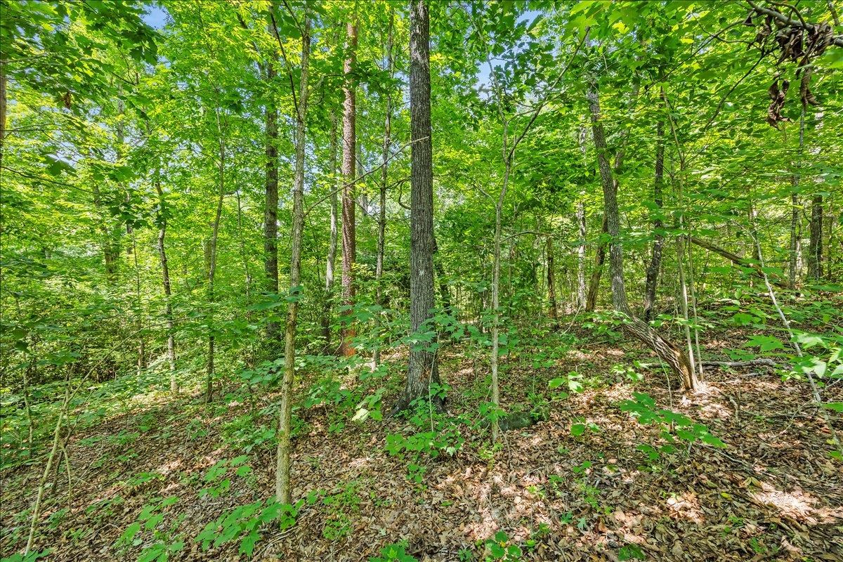 339012 Property Photo 8