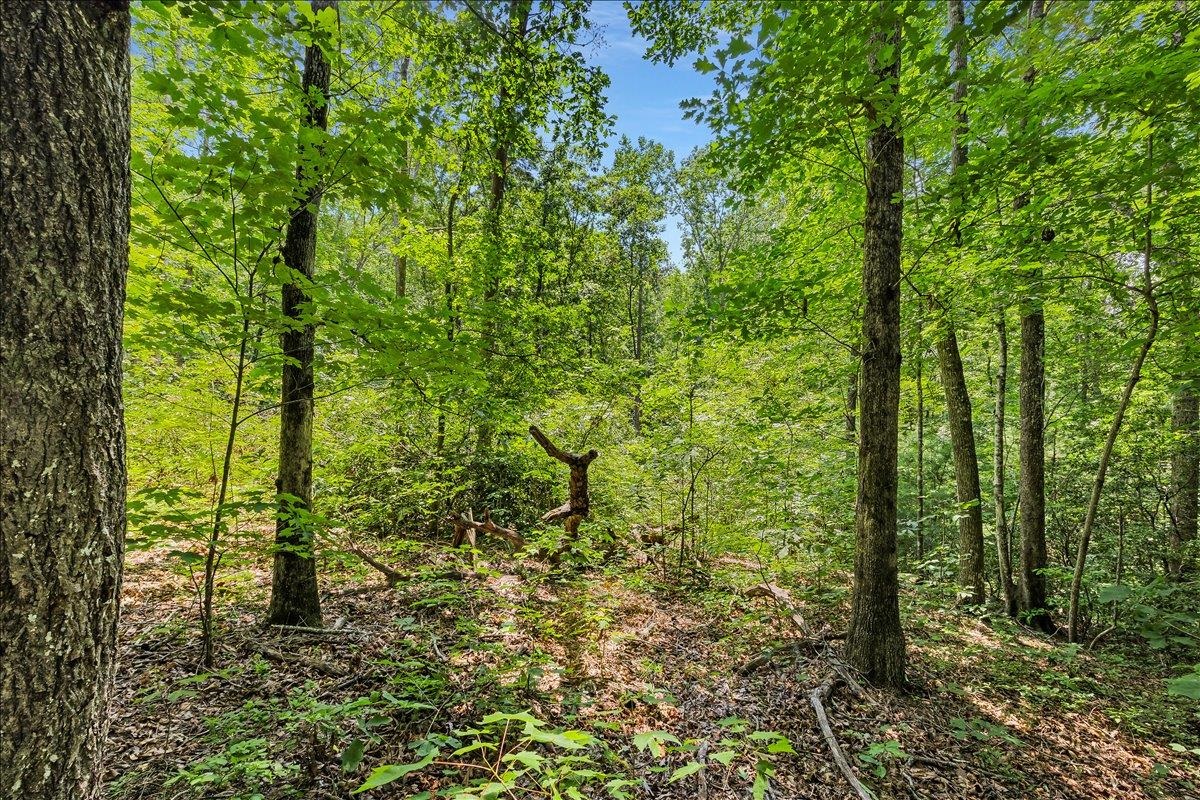 339012 Property Photo 9