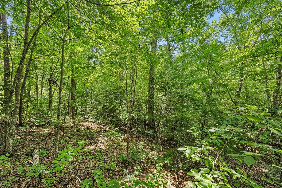 339012 Property Photo 11