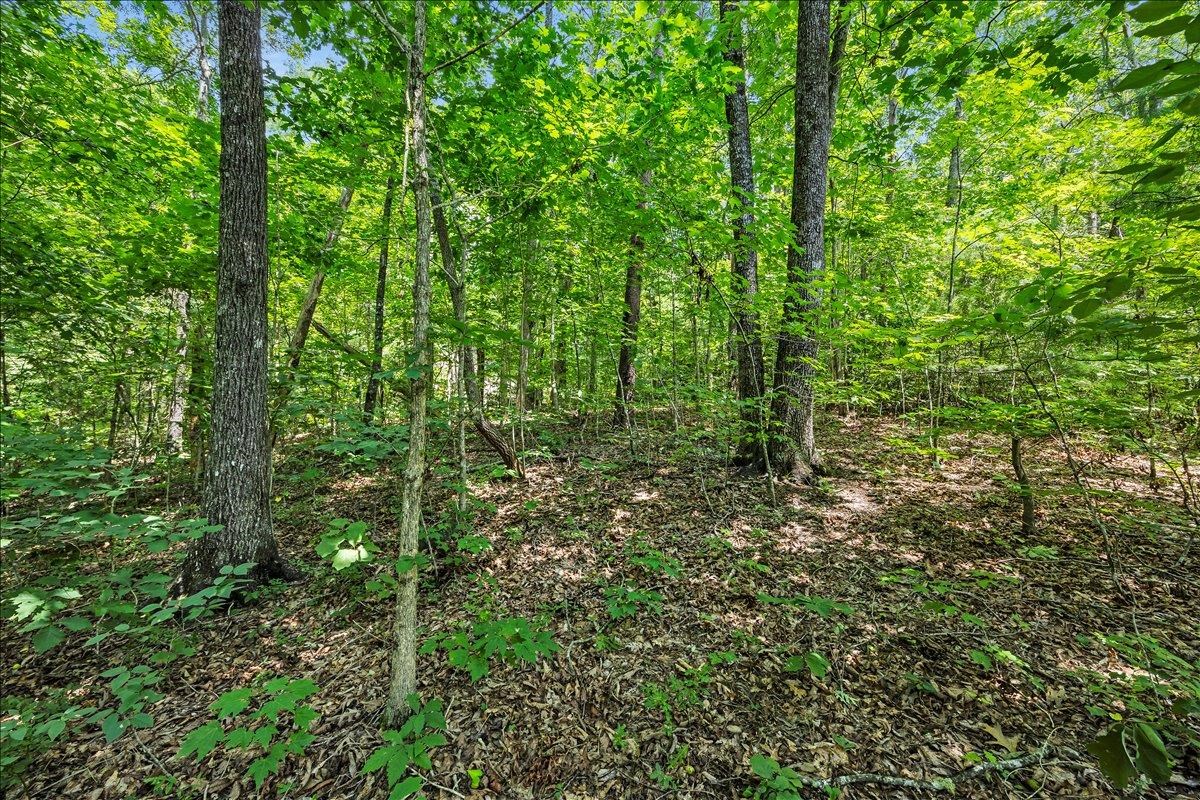 339012 Property Photo 13