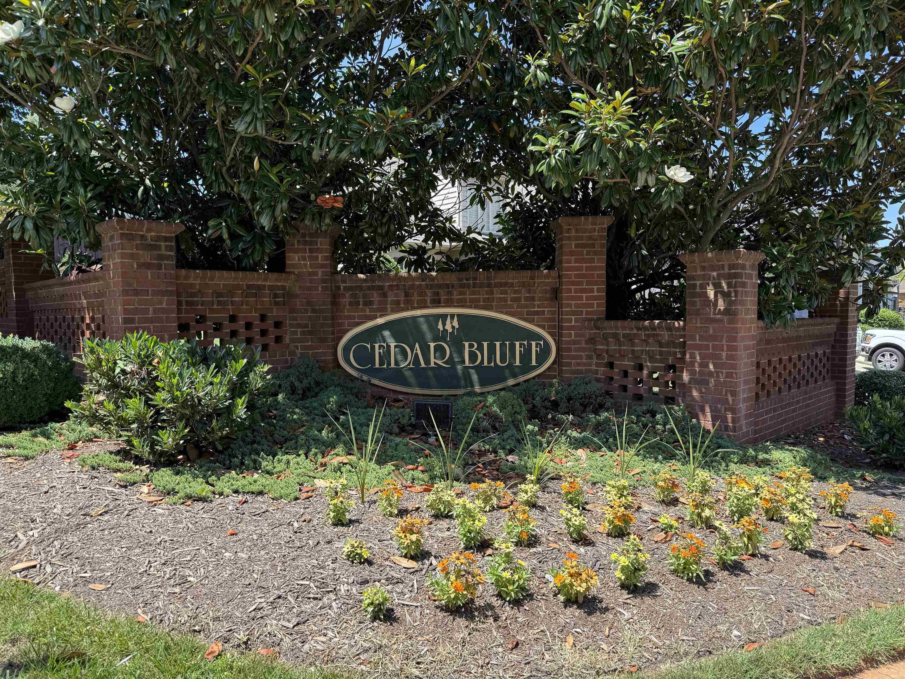 240 Cedar Bluff Drive Property Photo 45