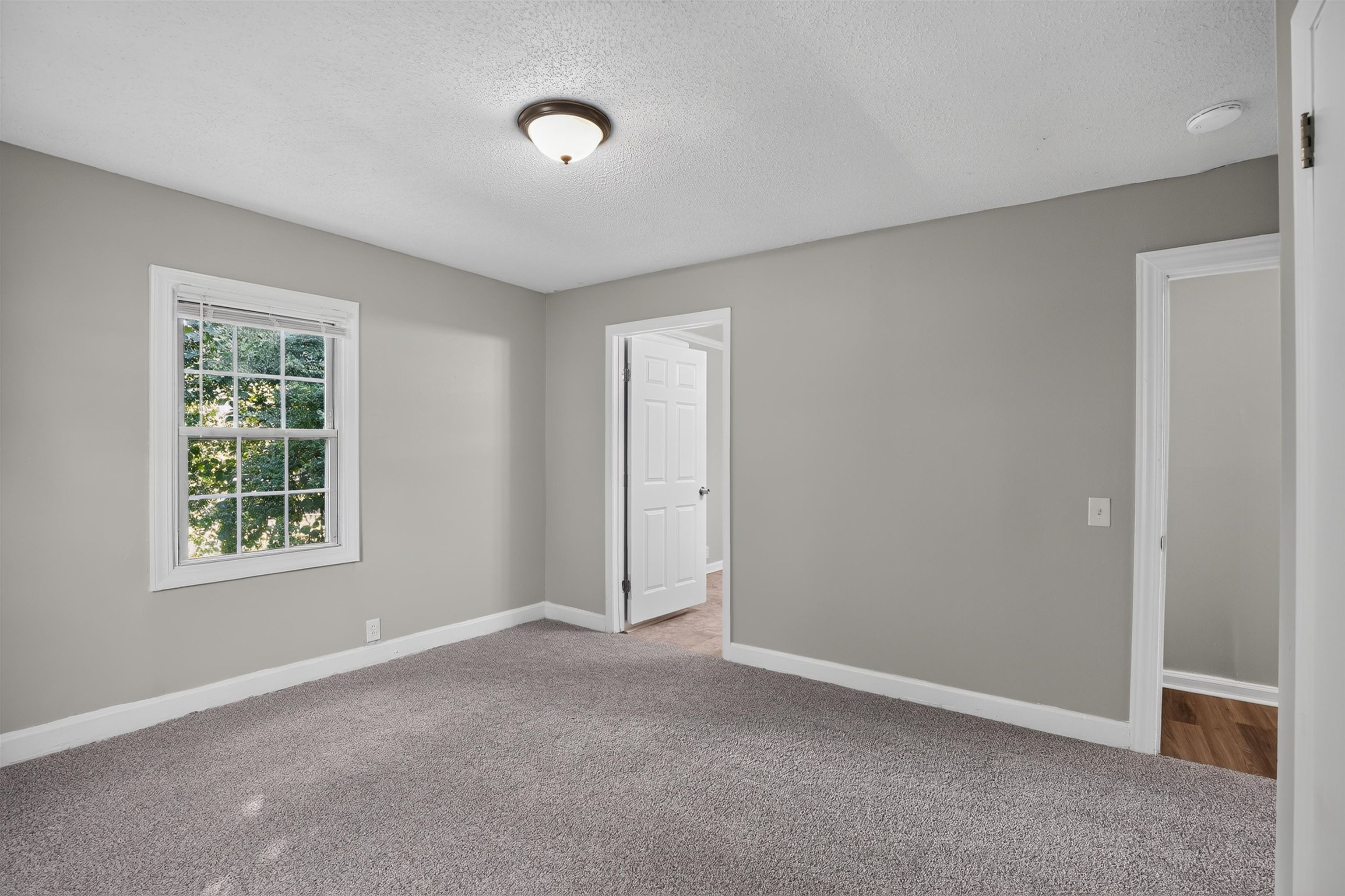 53 Templewood Drive Property Photo 8