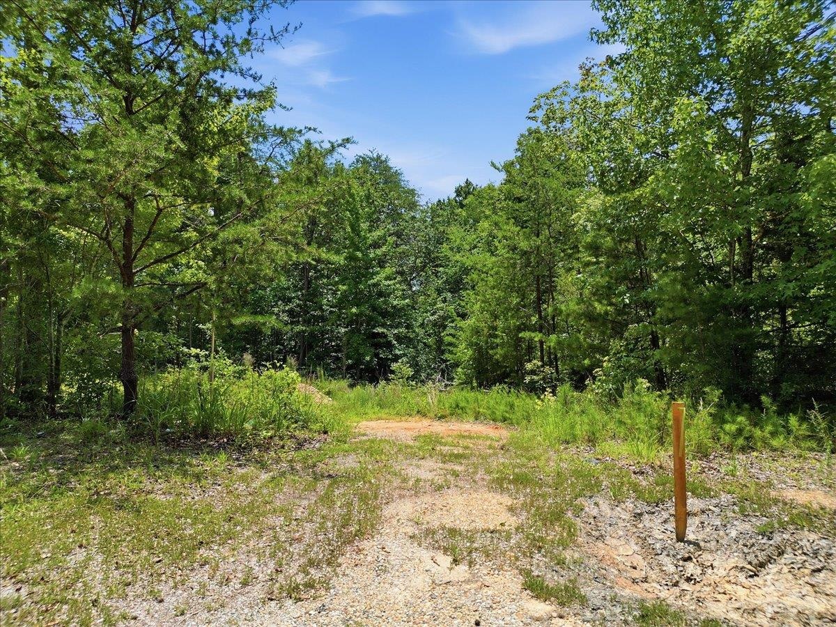 339227 Property Photo 11