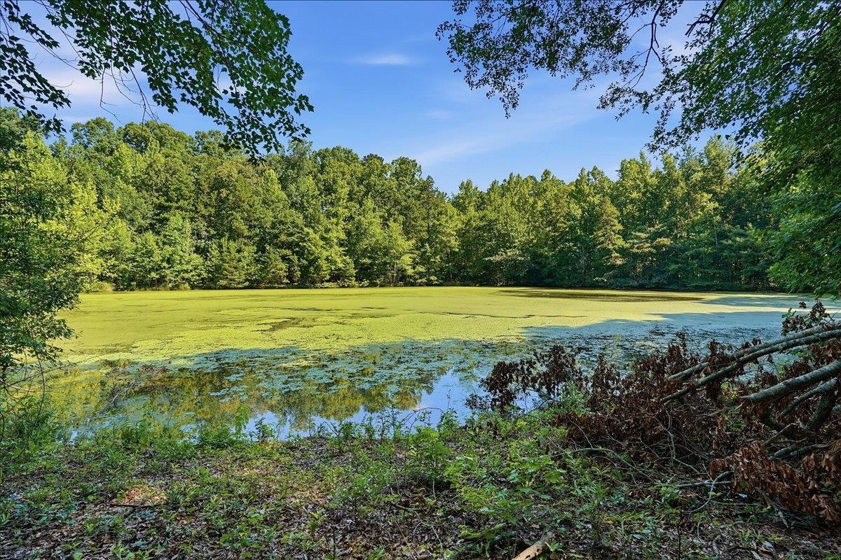 339281 Property Photo 3