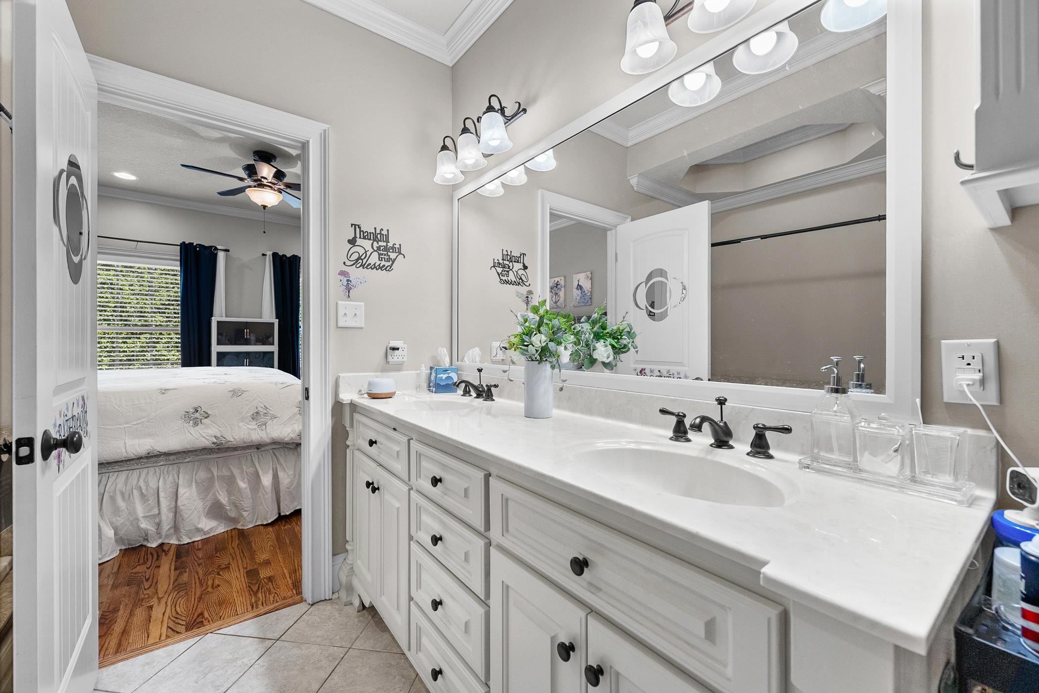 437 Ambiance Court Property Photo 16