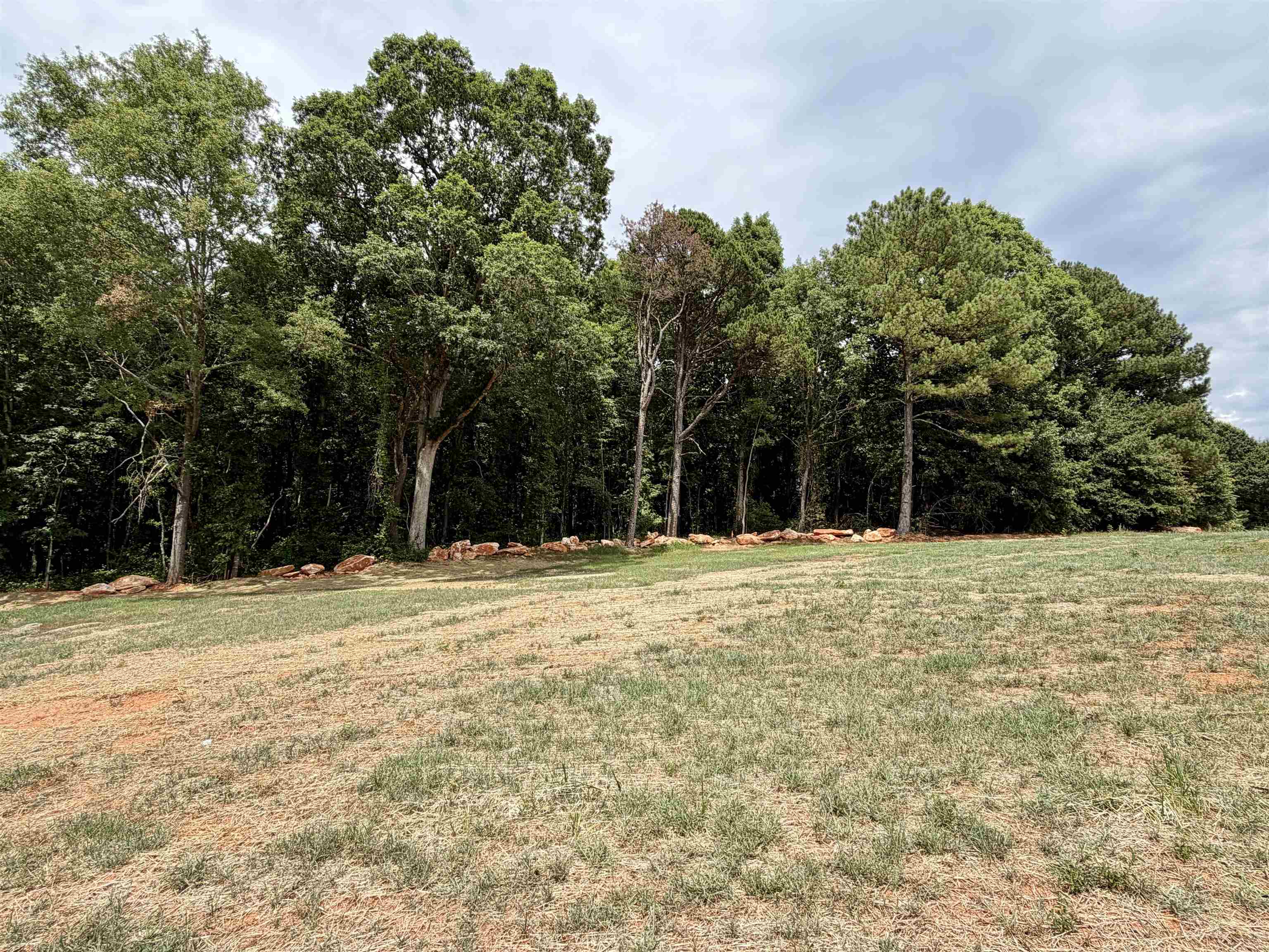 503 Bill Lattimore Road Property Photo 16